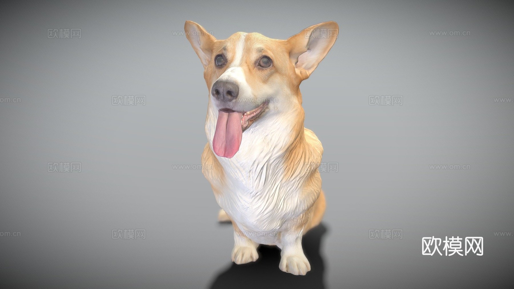 柯基犬坐姿02su模型