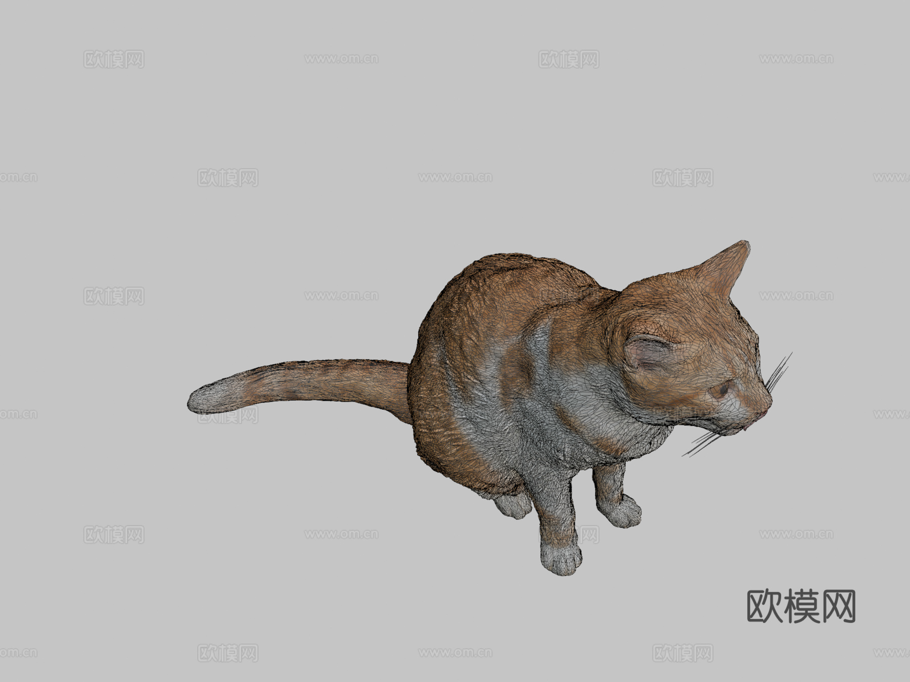 红猫21su模型
