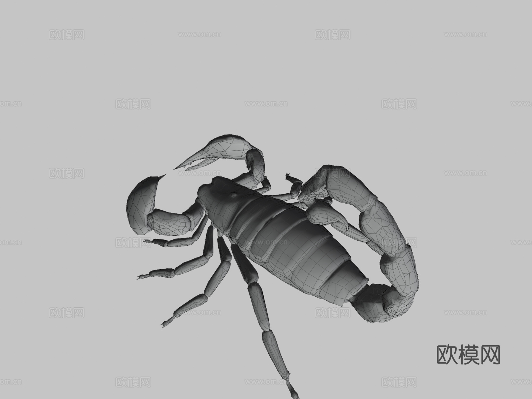 帝王蝎su模型