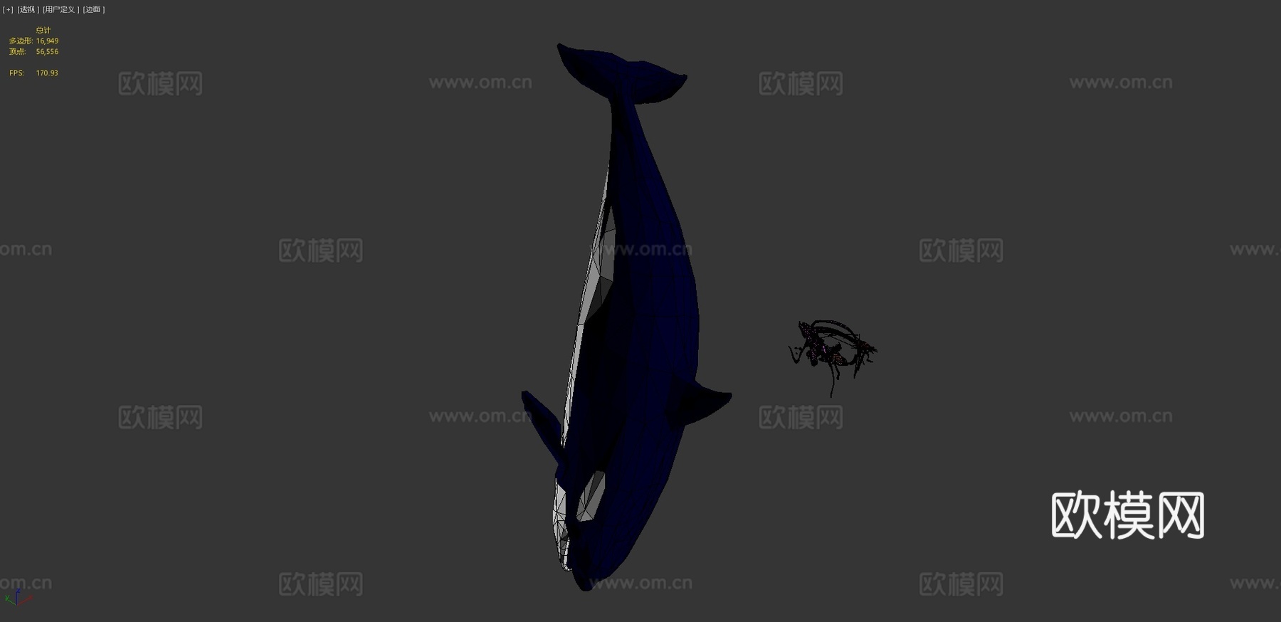 [低模]动态海洋动物第二卷su模型