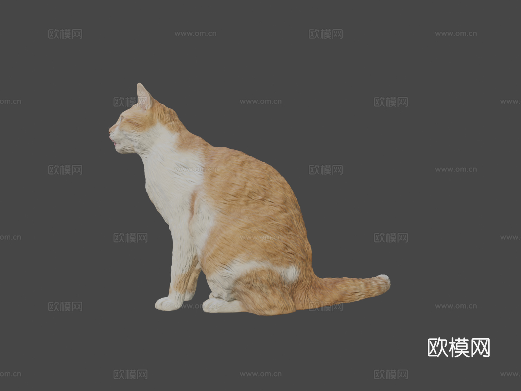 红猫21su模型