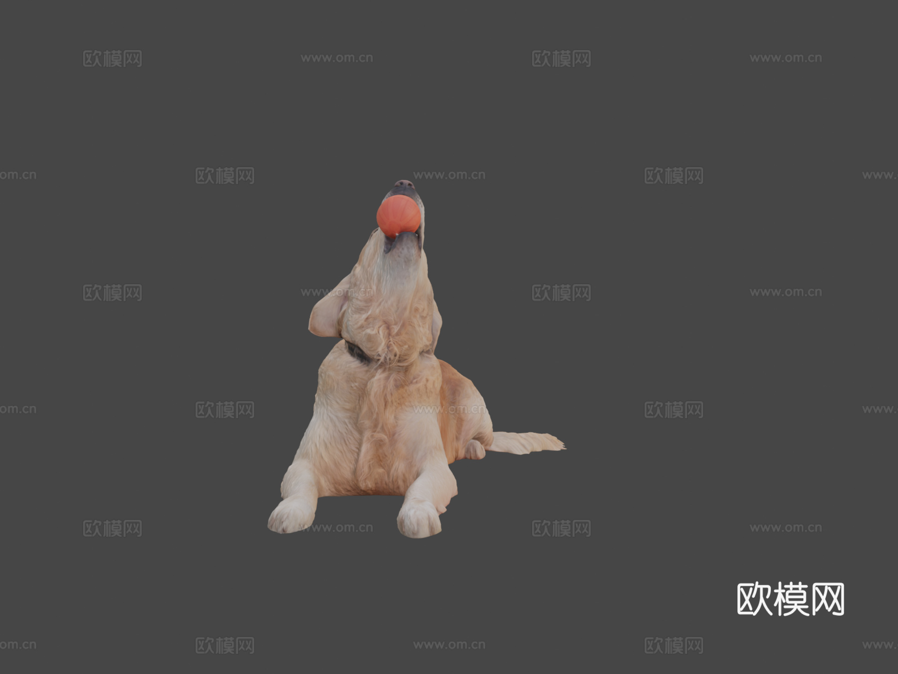 金毛犬玩玩具30su模型su模型