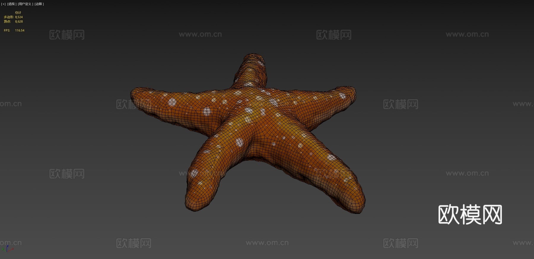 海星su模型
