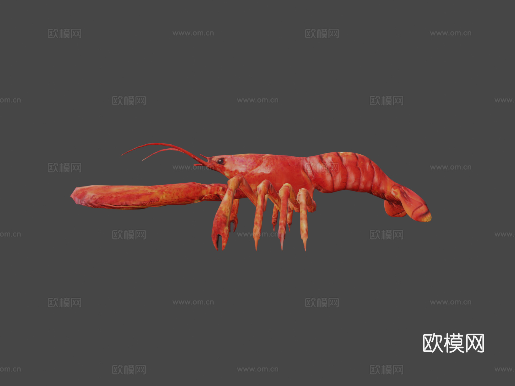龙虾su模型