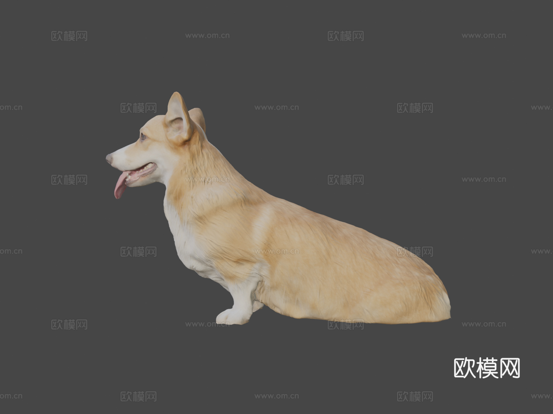 柯基犬坐姿02su模型
