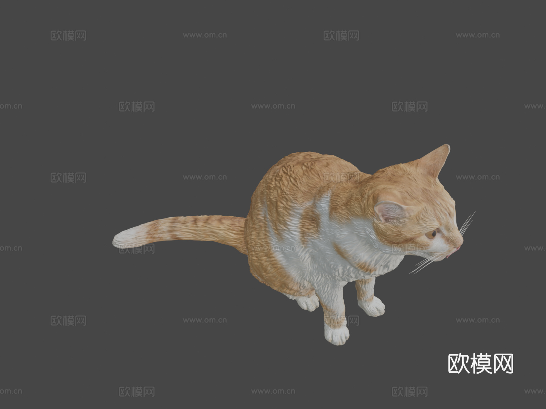 红猫21su模型