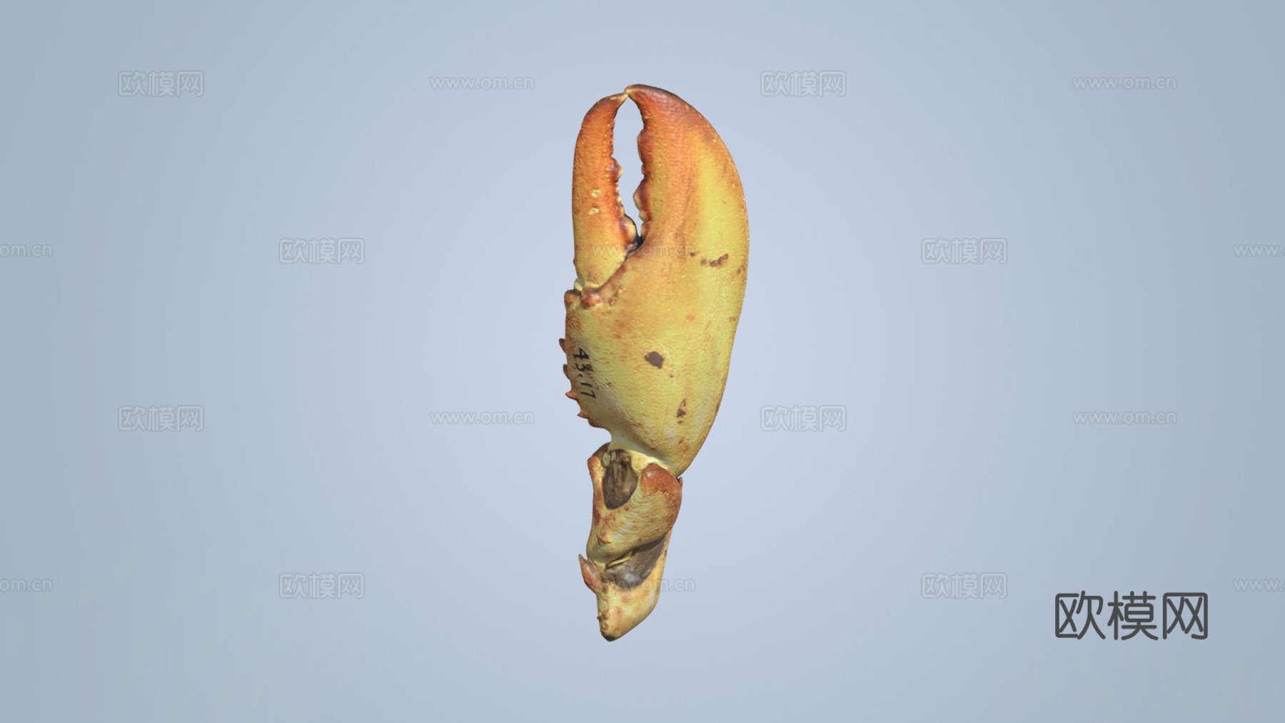 龙虾钳su模型