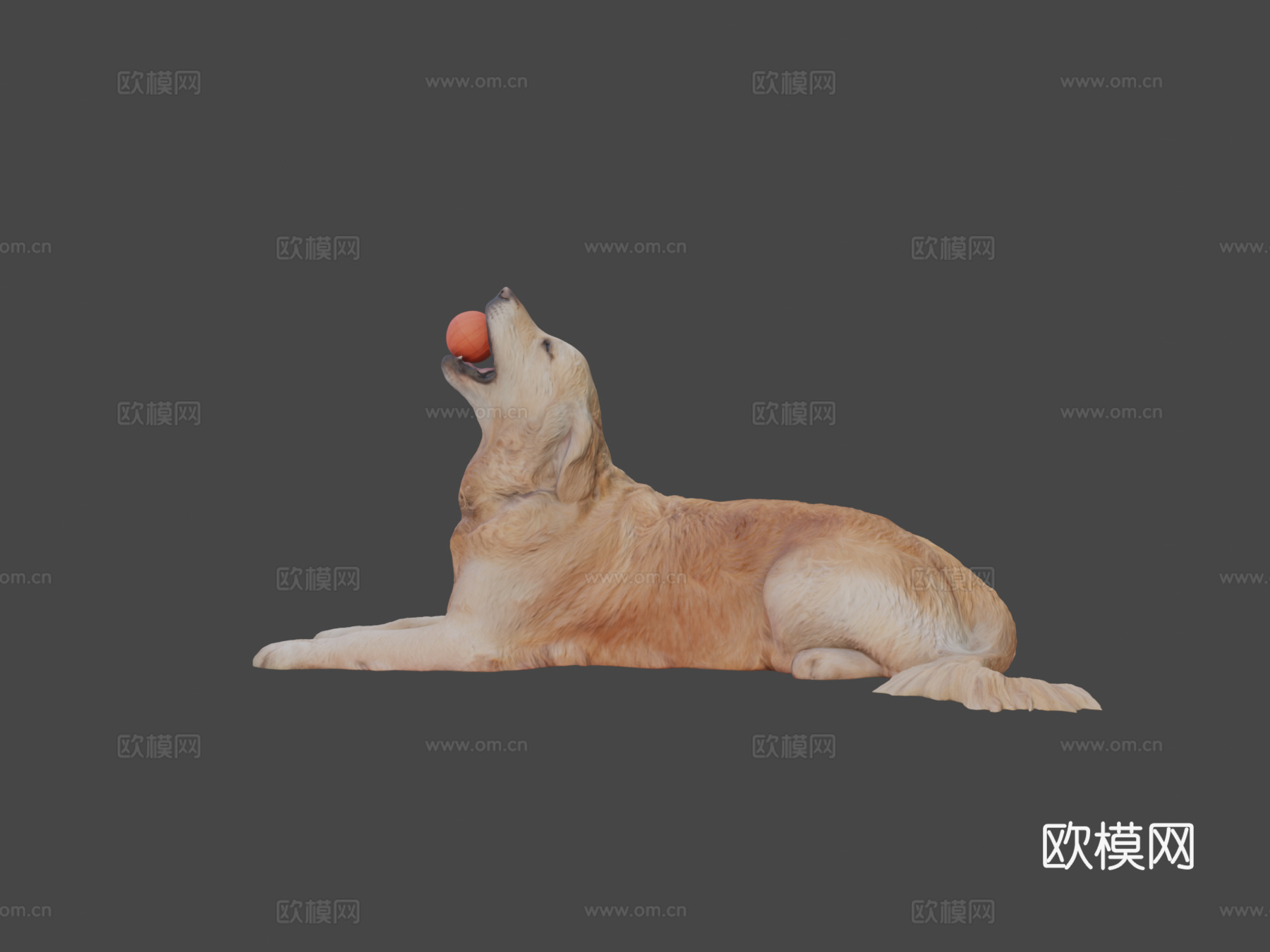 金毛犬玩玩具30su模型su模型
