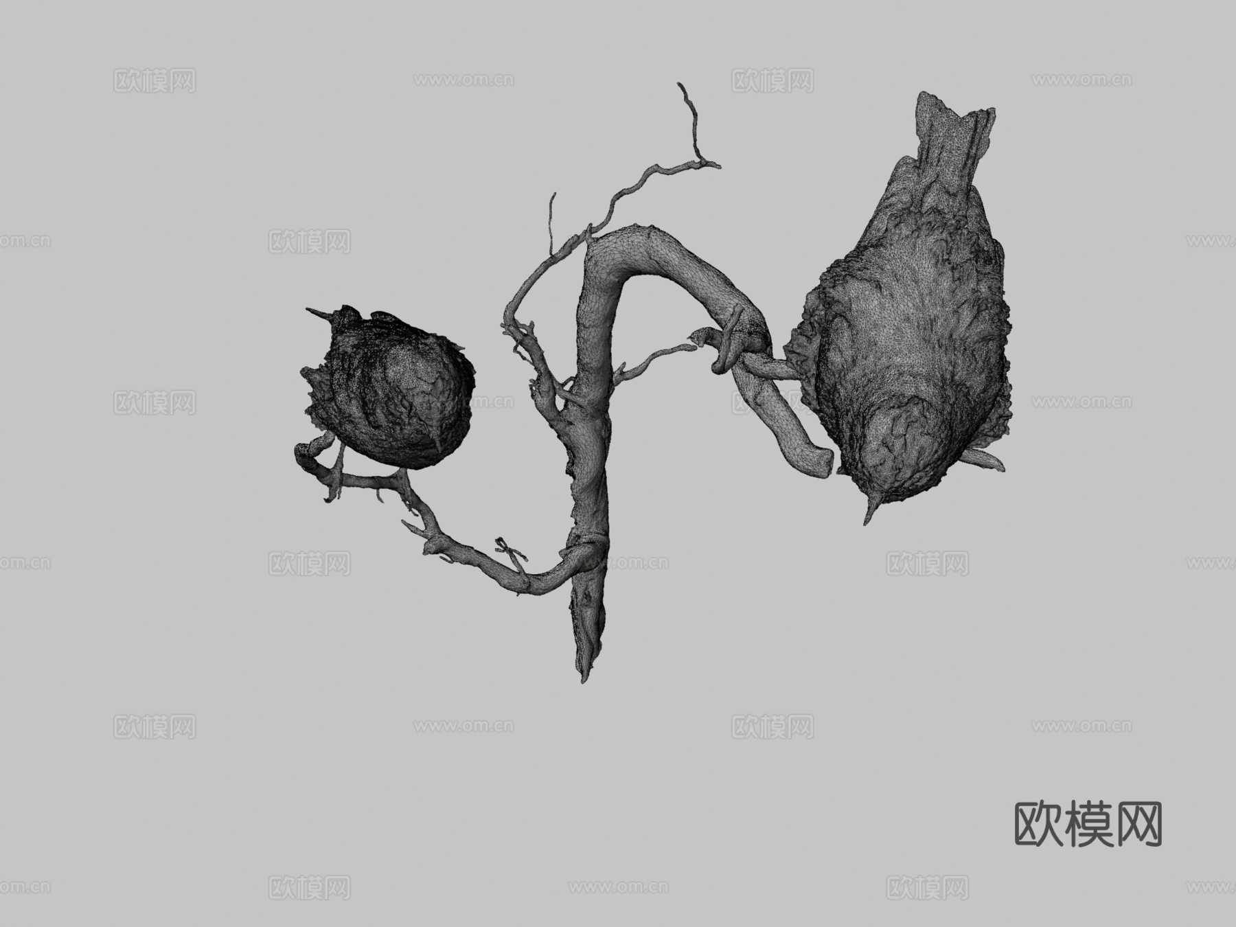 戴菊莺su模型