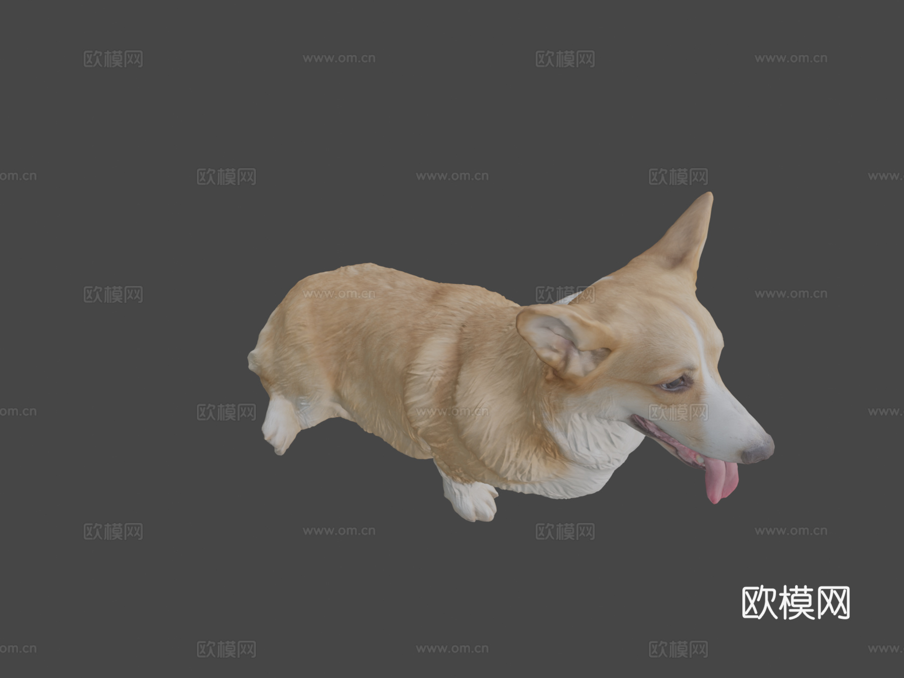 柯基犬坐姿02su模型