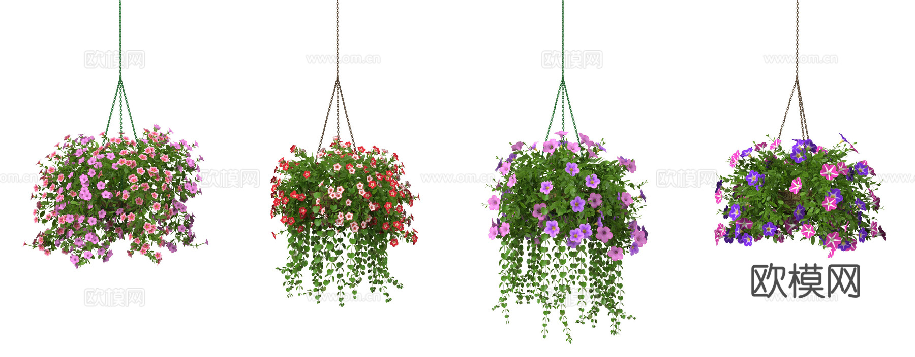 现代室内 户外陶土盆栽绿植 藤蔓 爬藤 垂挂绿植 矮牵牛组合3d模型下载