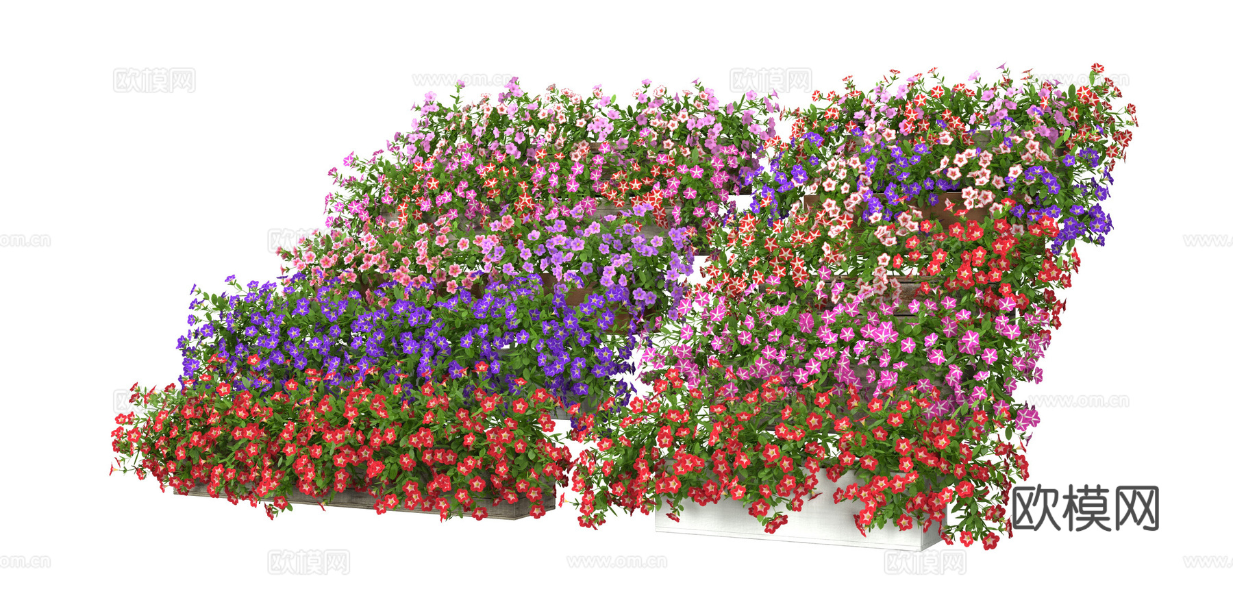 现代室内 户外防腐木盆栽绿植 开花植物 满天星 繁星花 矮牵3d模型下载