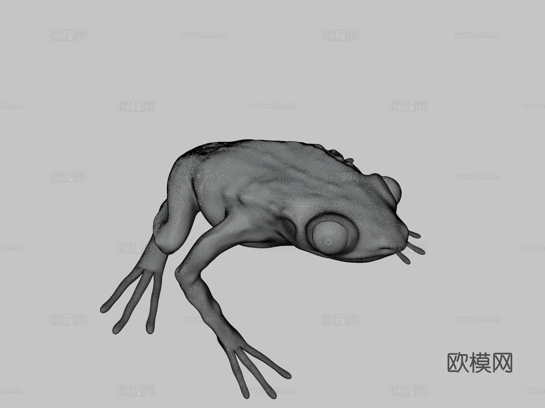 青蛙基础模型3d模型下载（渲染图3）