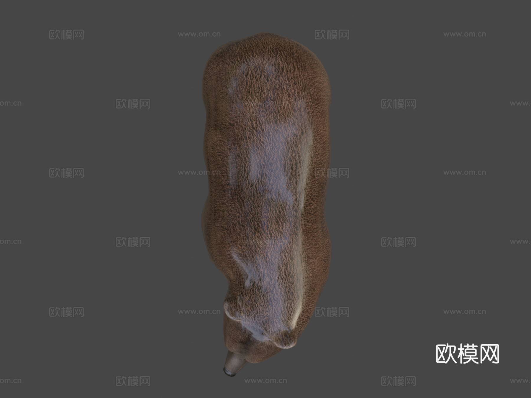 熊3d模型下载（渲染图6）