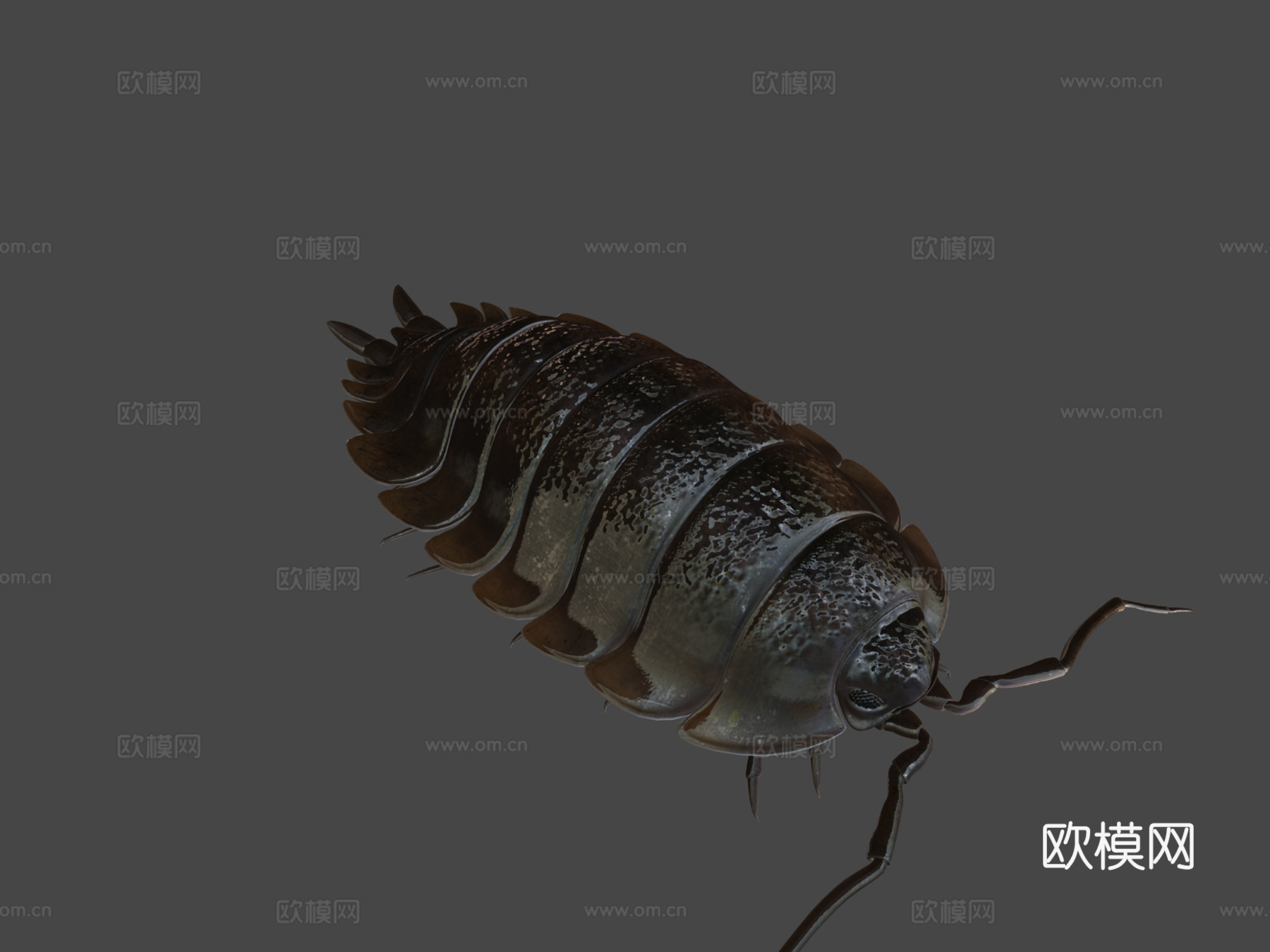 滚圆球3d模型下载（渲染图8）