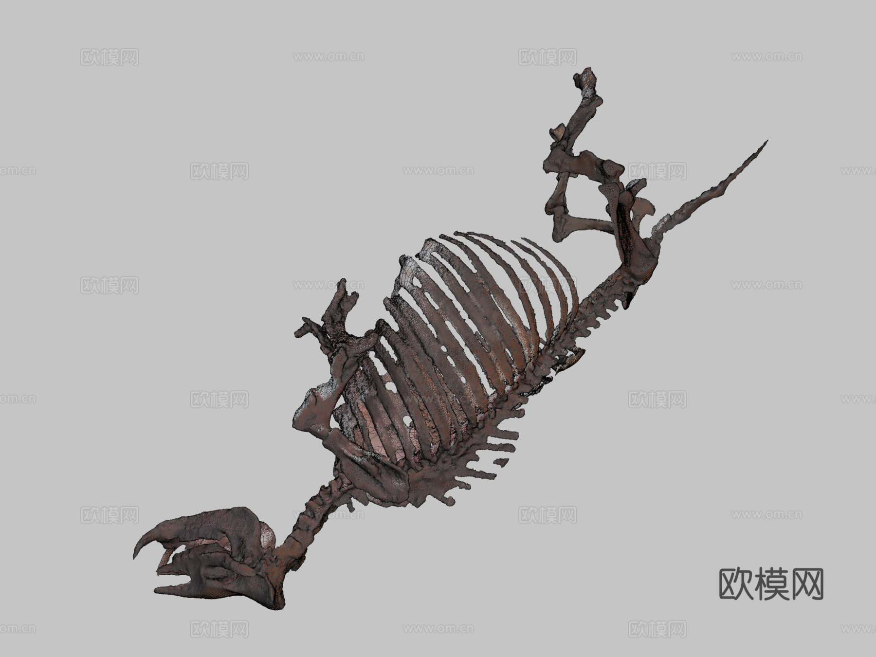 古代犀牛化石3d模型下载（渲染图2）