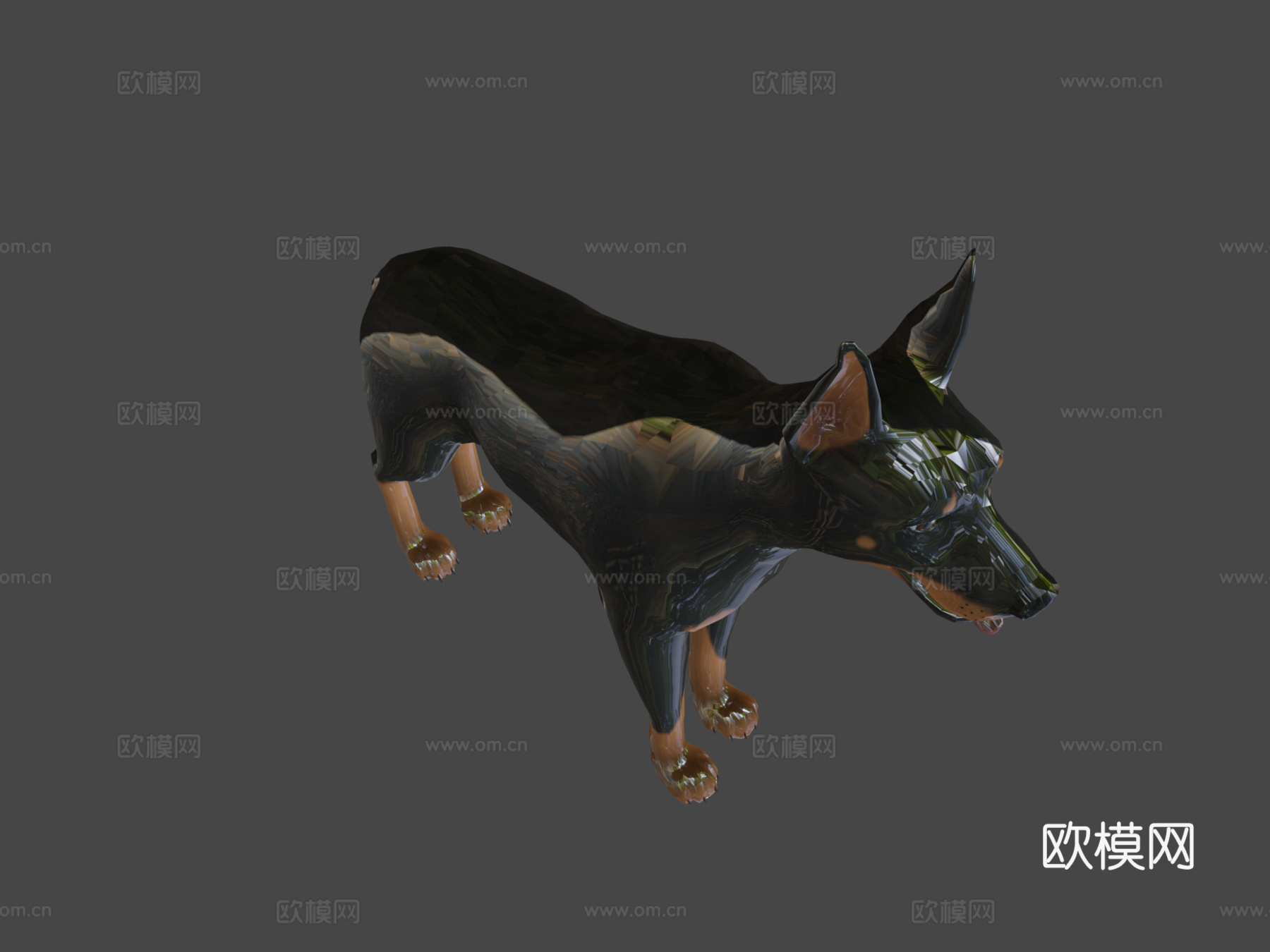 杜宾犬3d模型下载（渲染图8）