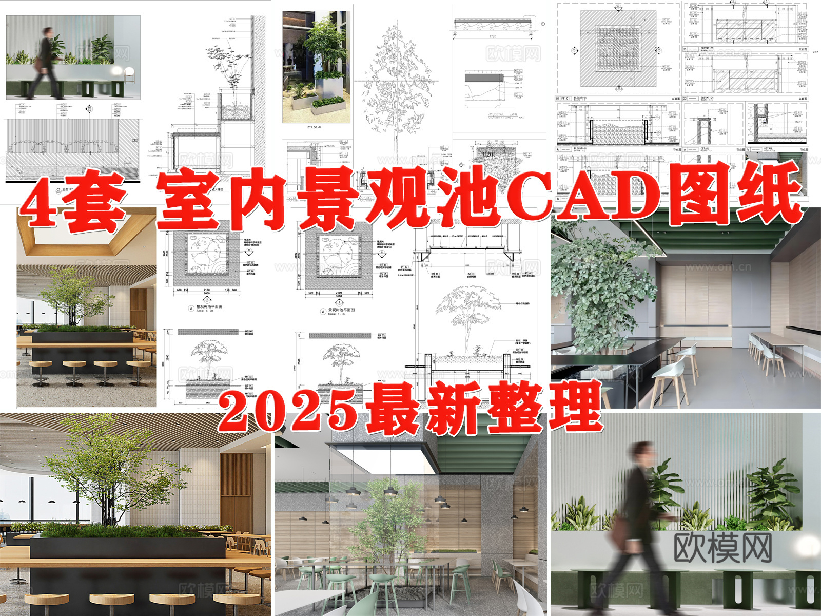 室内景观 室内景观树池 室内花池 室内绿植 室内树木cad施工图