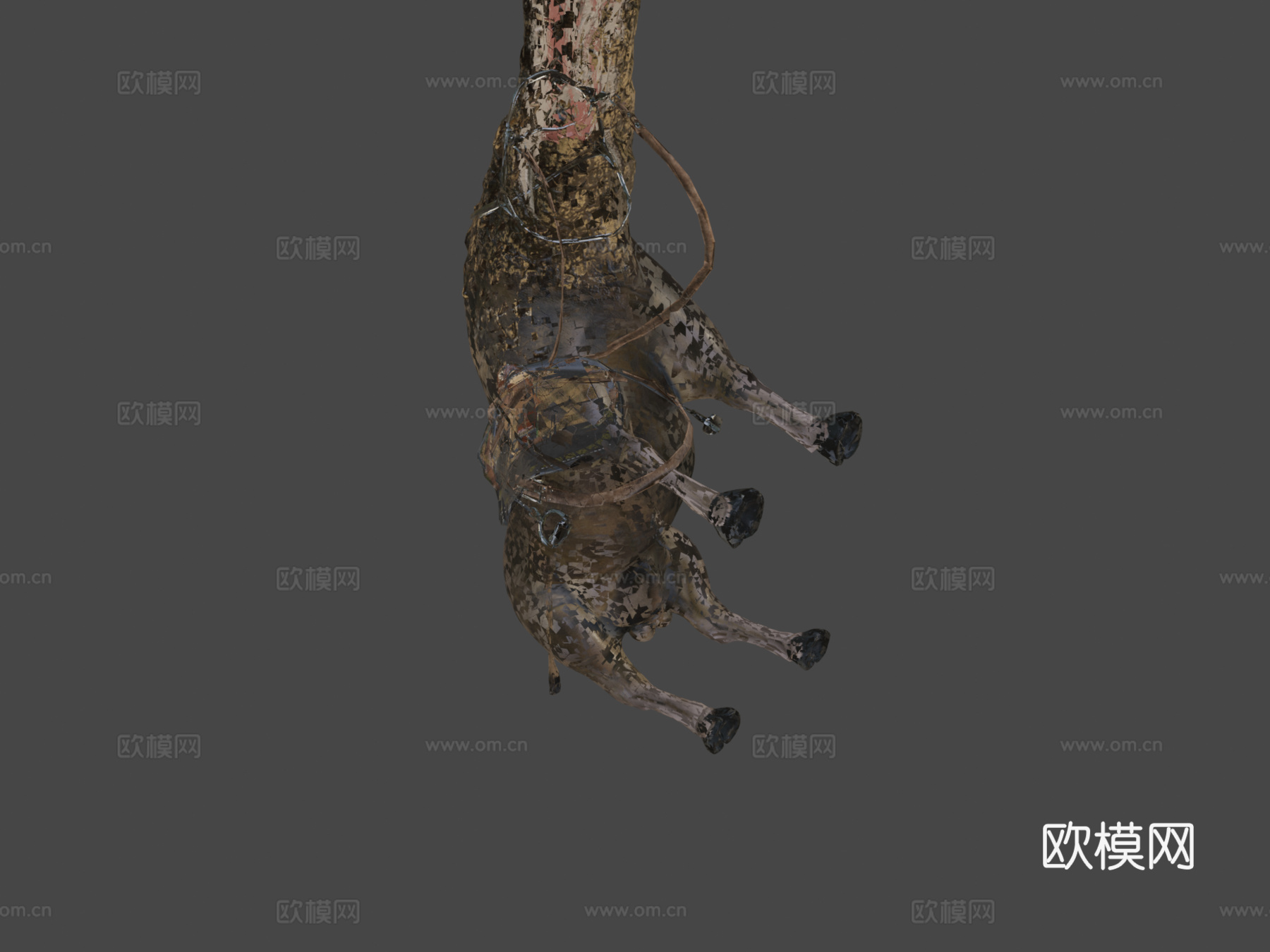 鳄牛3d模型下载（渲染图8）