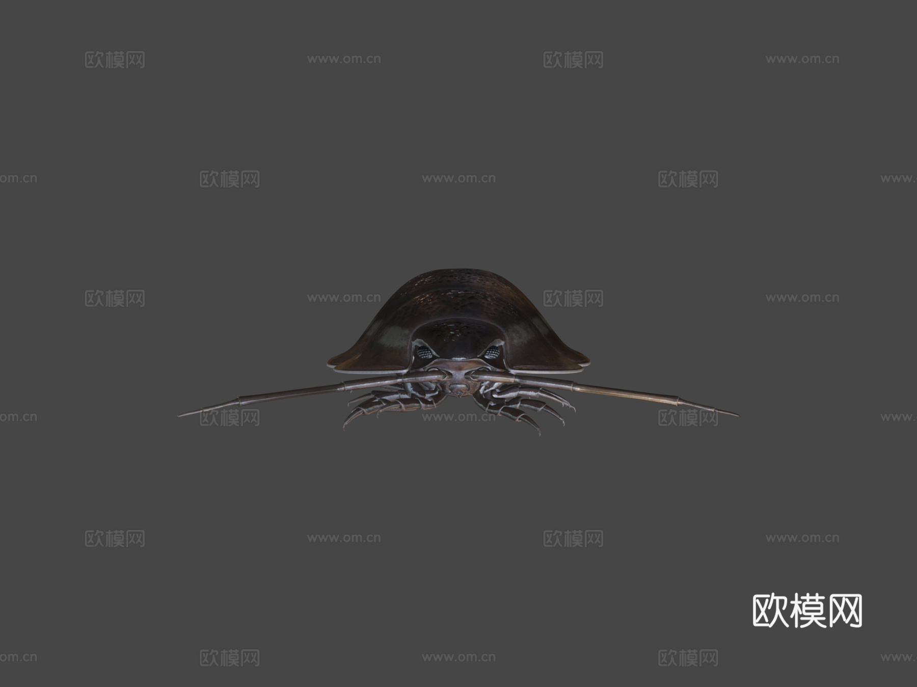 滚圆球3d模型下载（渲染图6）