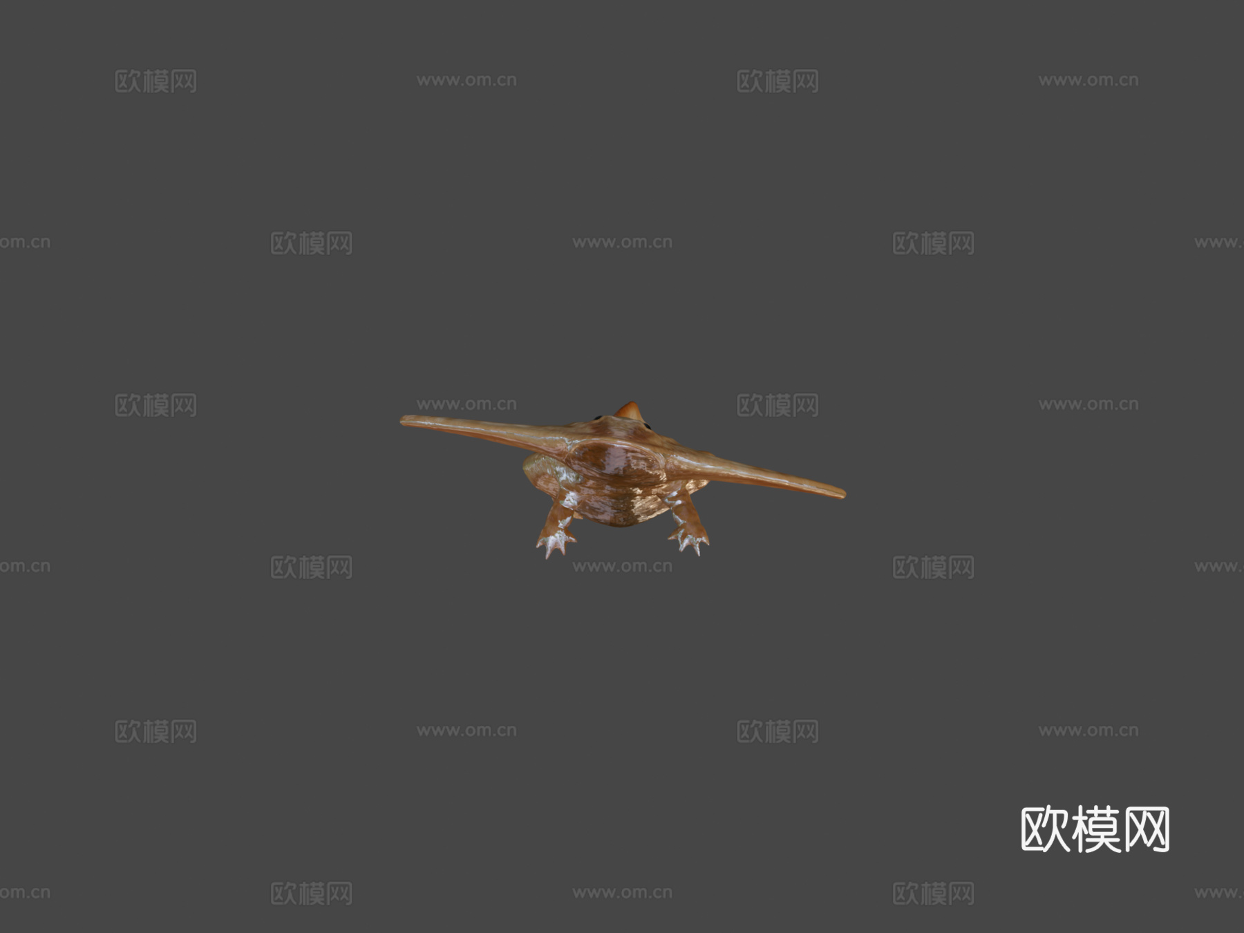 笠头螈3d模型下载（渲染图5）