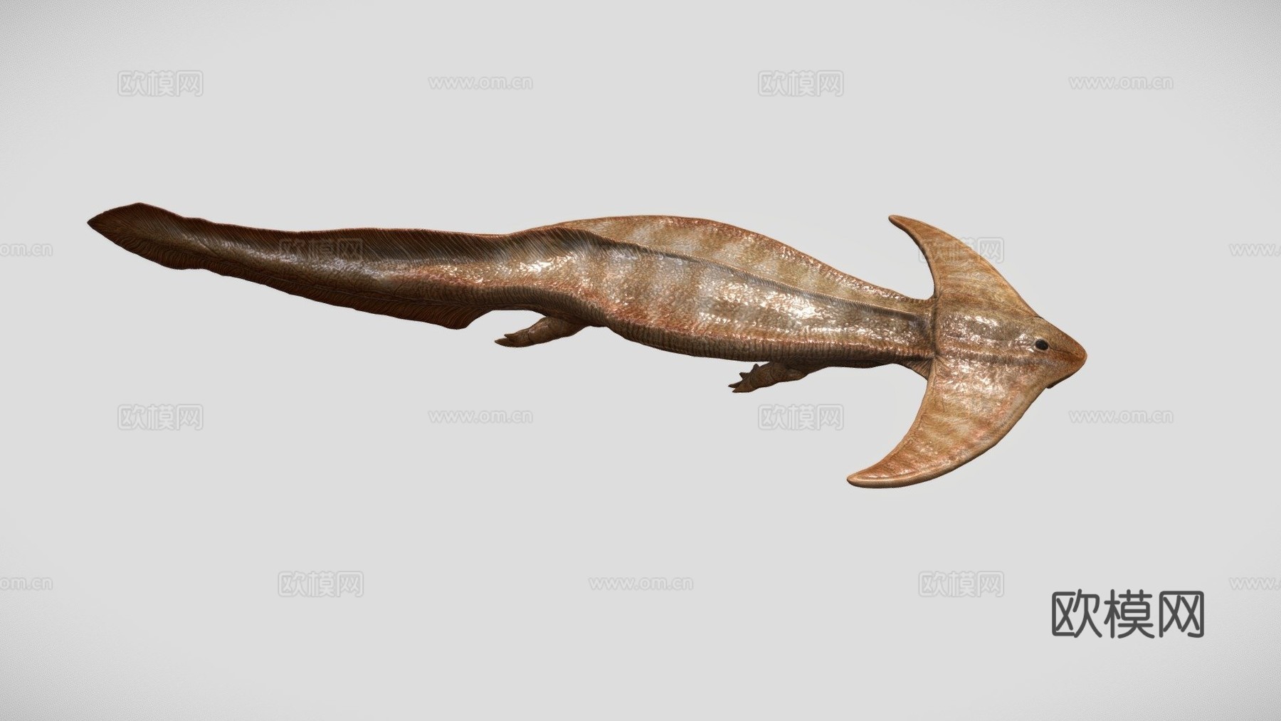 笠头螈3d模型下载（渲染图1）