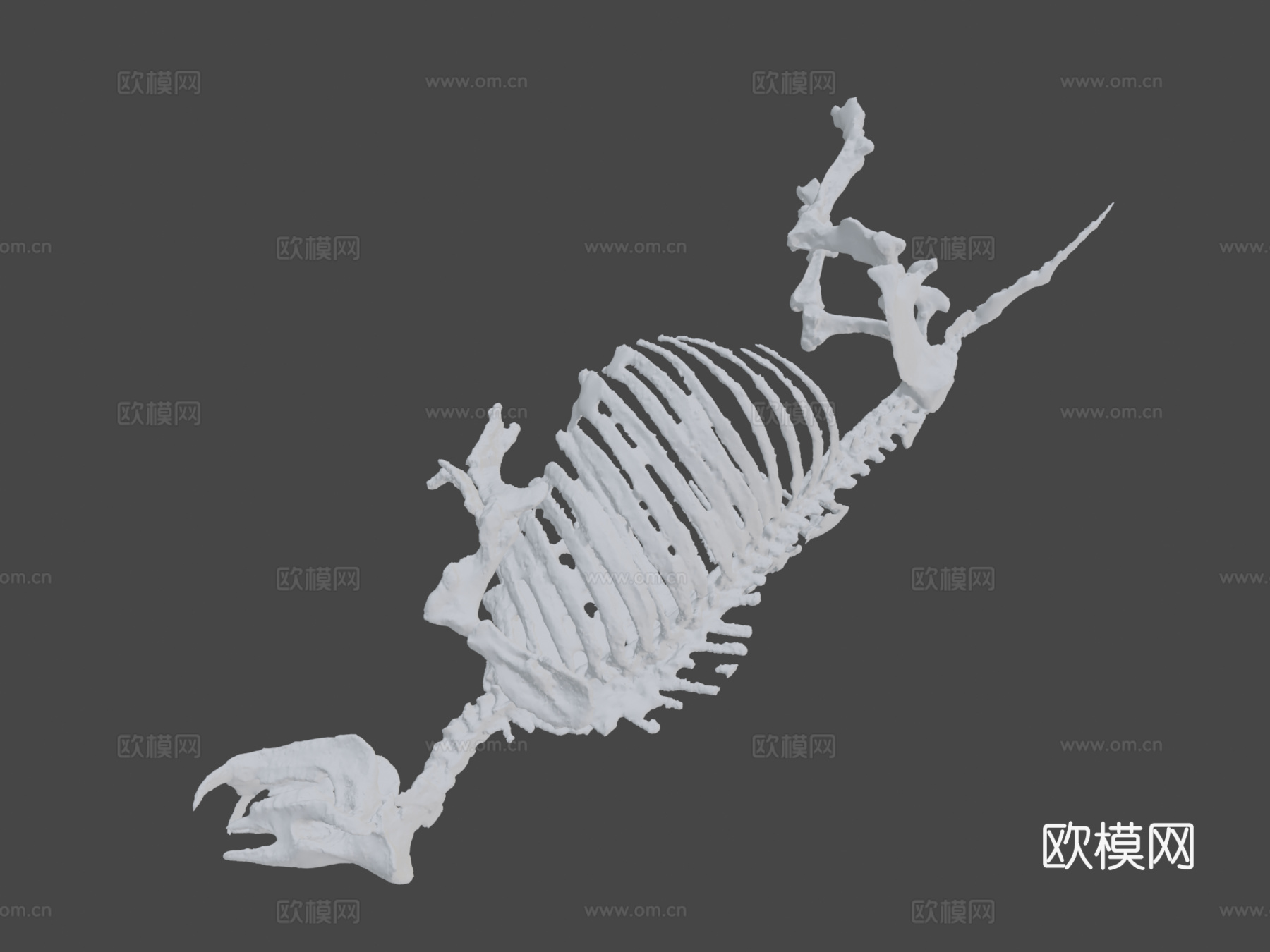 古代犀牛化石3d模型下载（渲染图7）