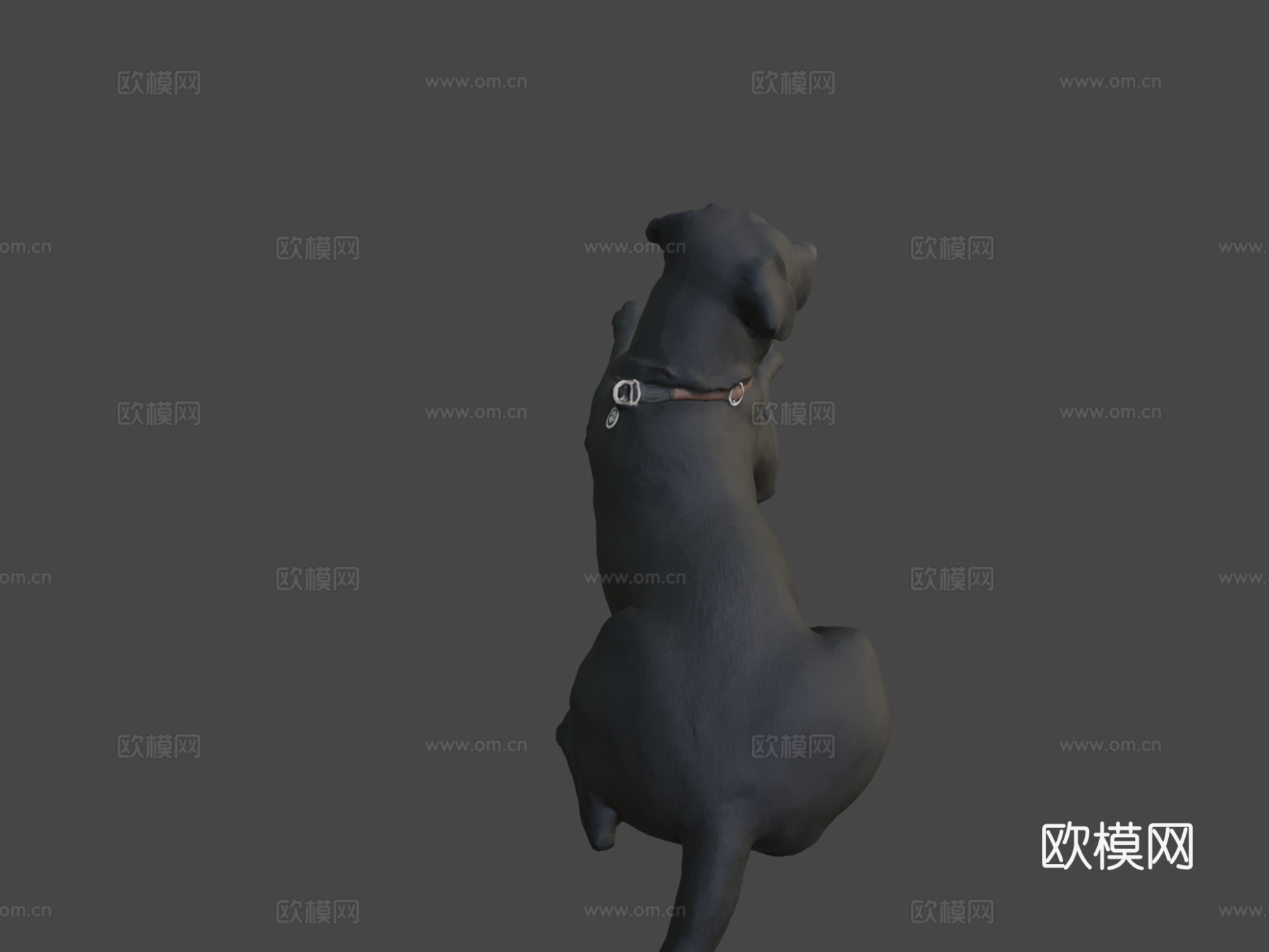 狗狗A-56-拉布拉多3d模型下载（渲染图8）