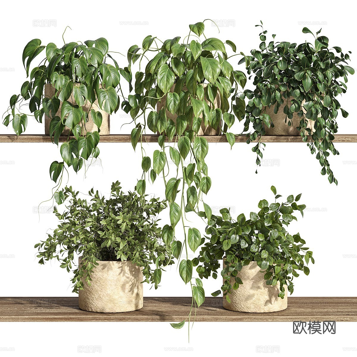 现代货架上的植物3d模型下载（渲染图1）