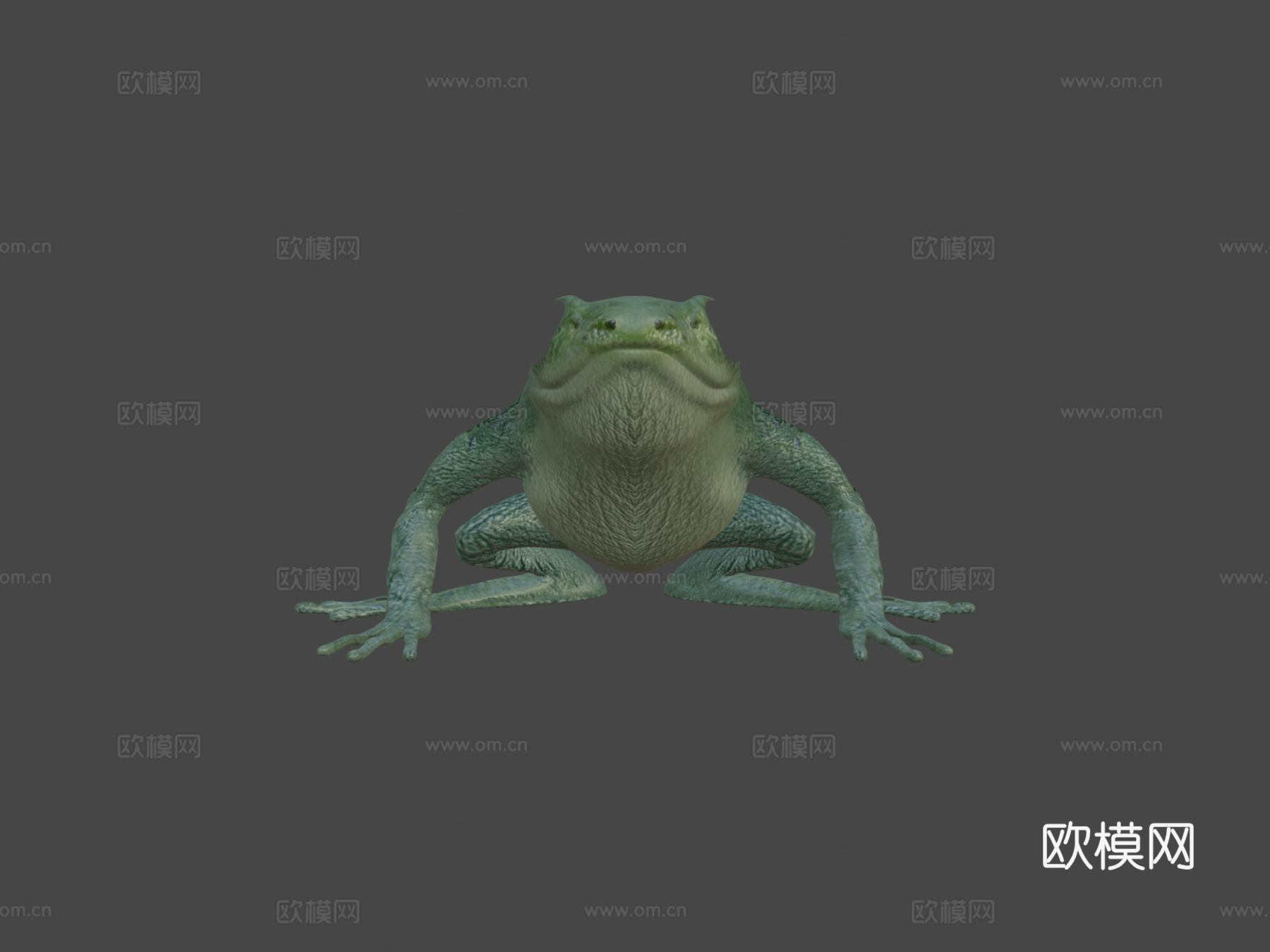 青蛙基础模型3d模型下载（渲染图6）