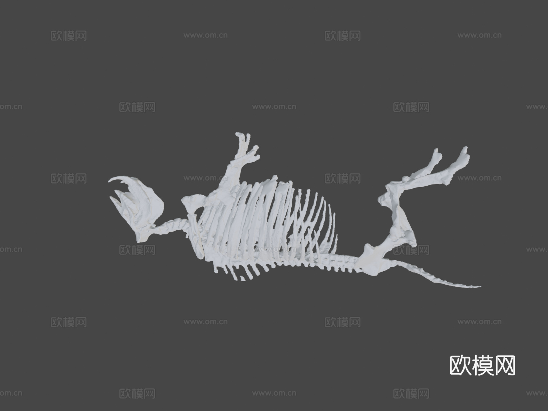 古代犀牛化石3d模型下载（渲染图8）