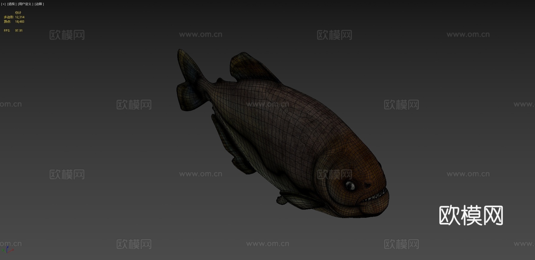食人鱼3d模型下载（渲染图4）