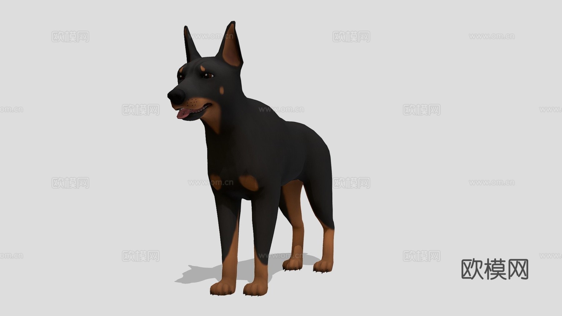 杜宾犬3d模型下载（渲染图1）