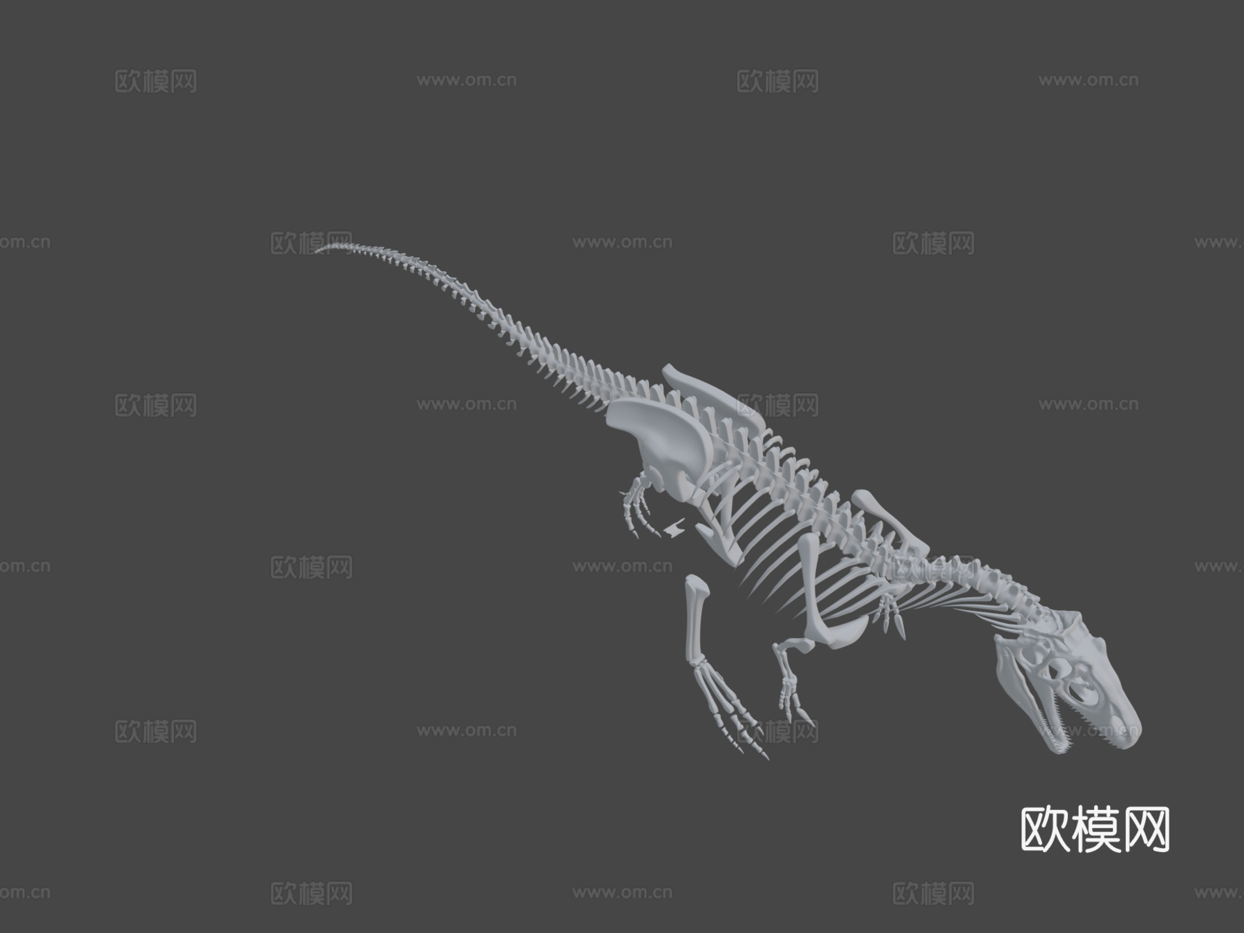 完整异特龙骨架3d模型下载（渲染图5）