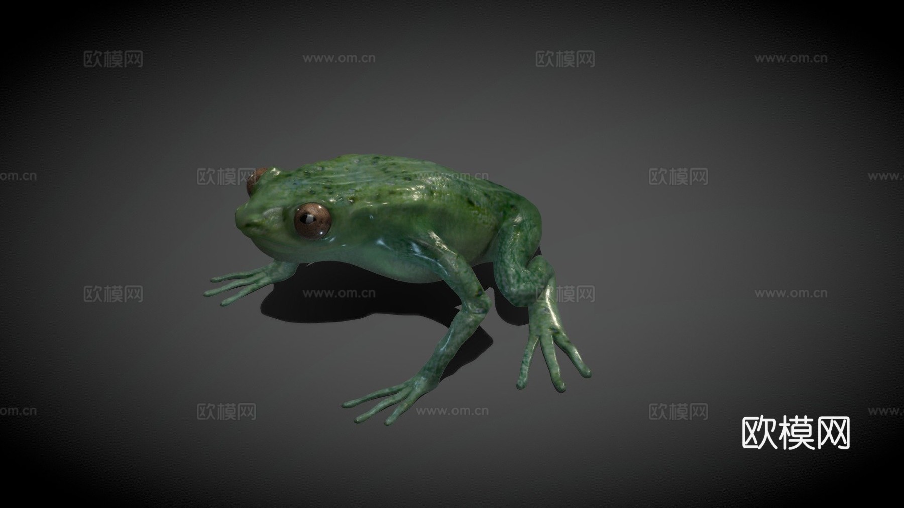 青蛙基础模型3d模型下载（渲染图1）