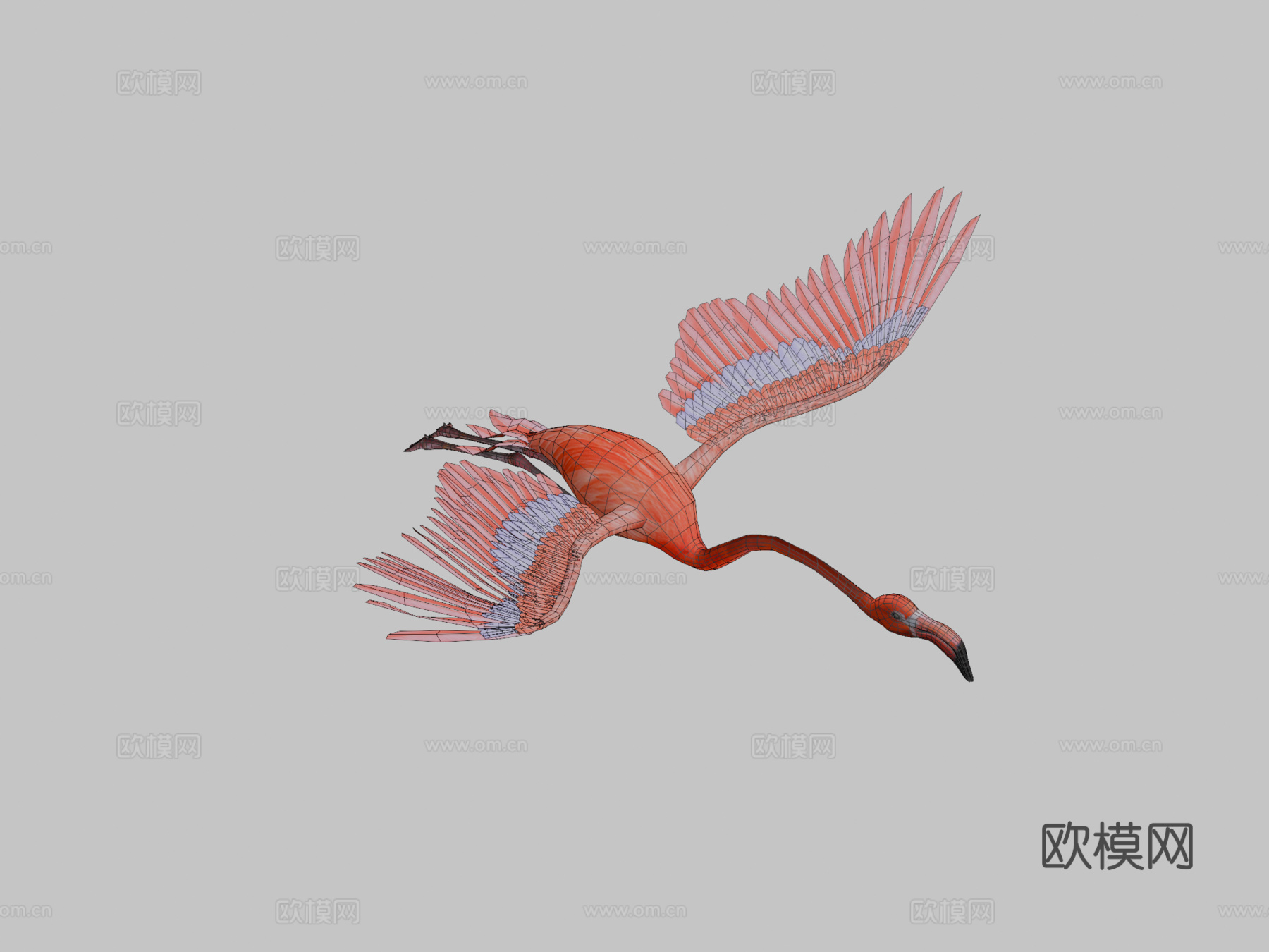 火烈鸟飞翔3d模型下载（渲染图2）
