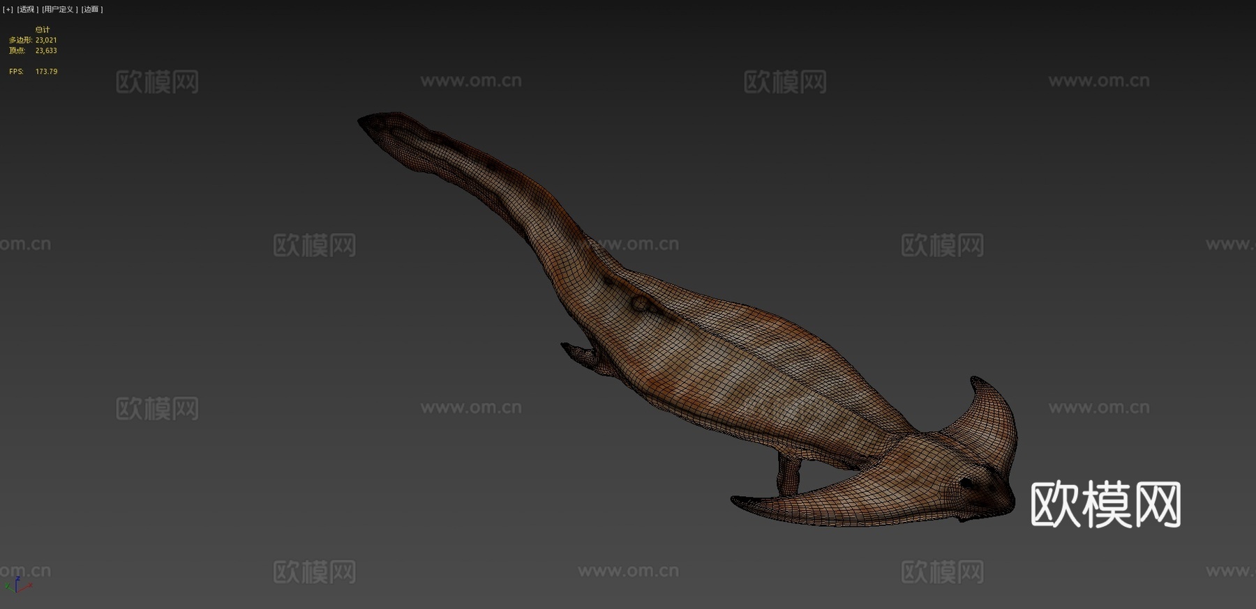 笠头螈3d模型下载（渲染图4）