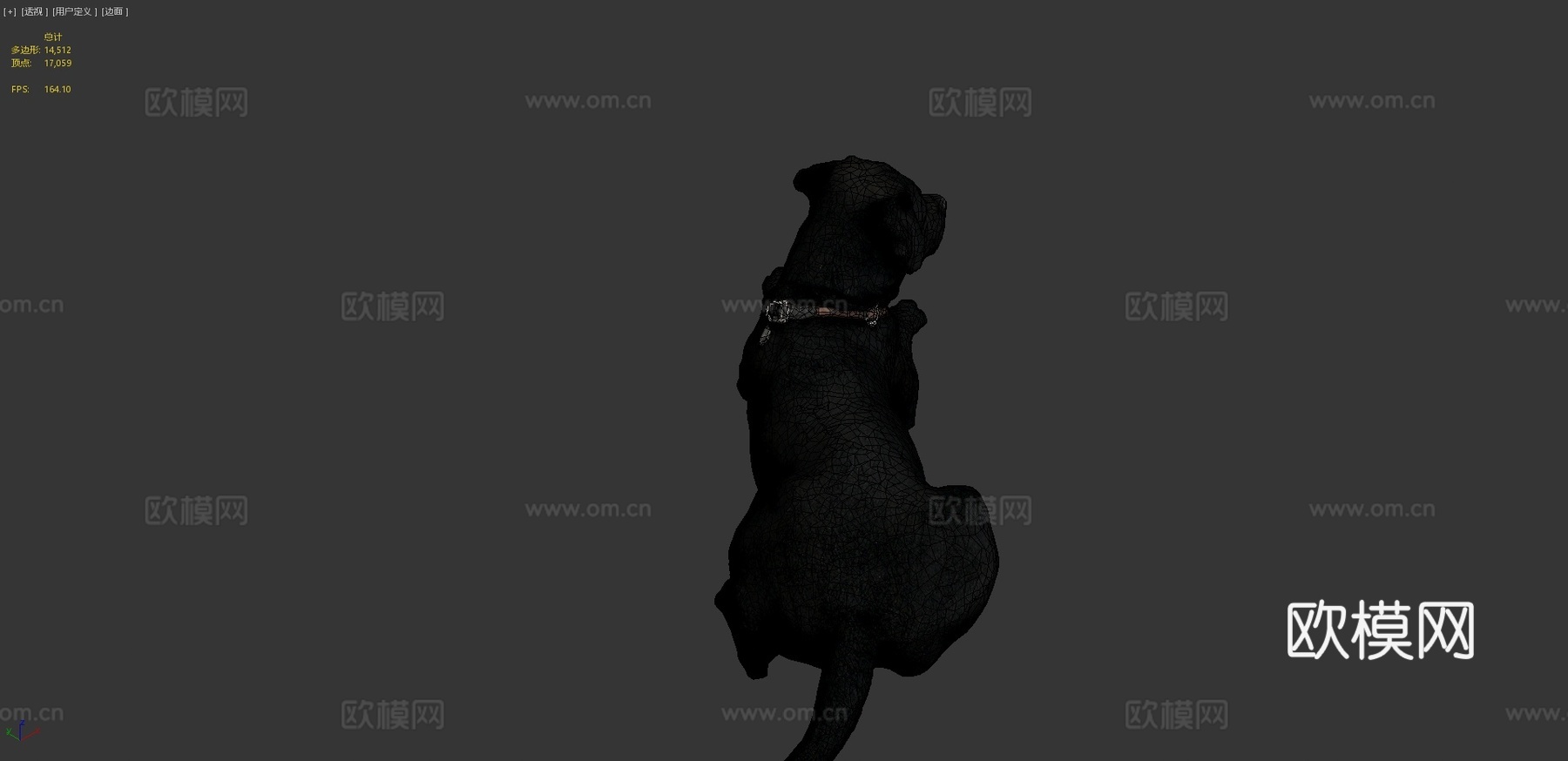 狗狗A-56-拉布拉多3d模型下载（渲染图4）