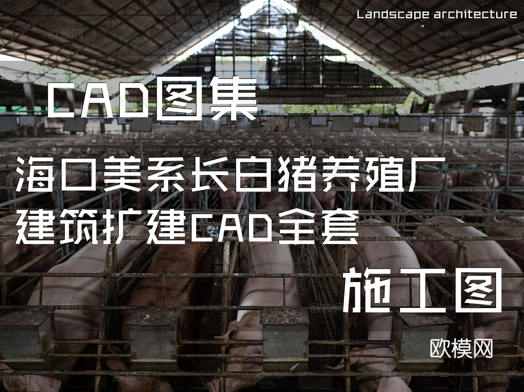 海口美系长白猪养殖厂建筑扩建CAD施工图全套cad施工图