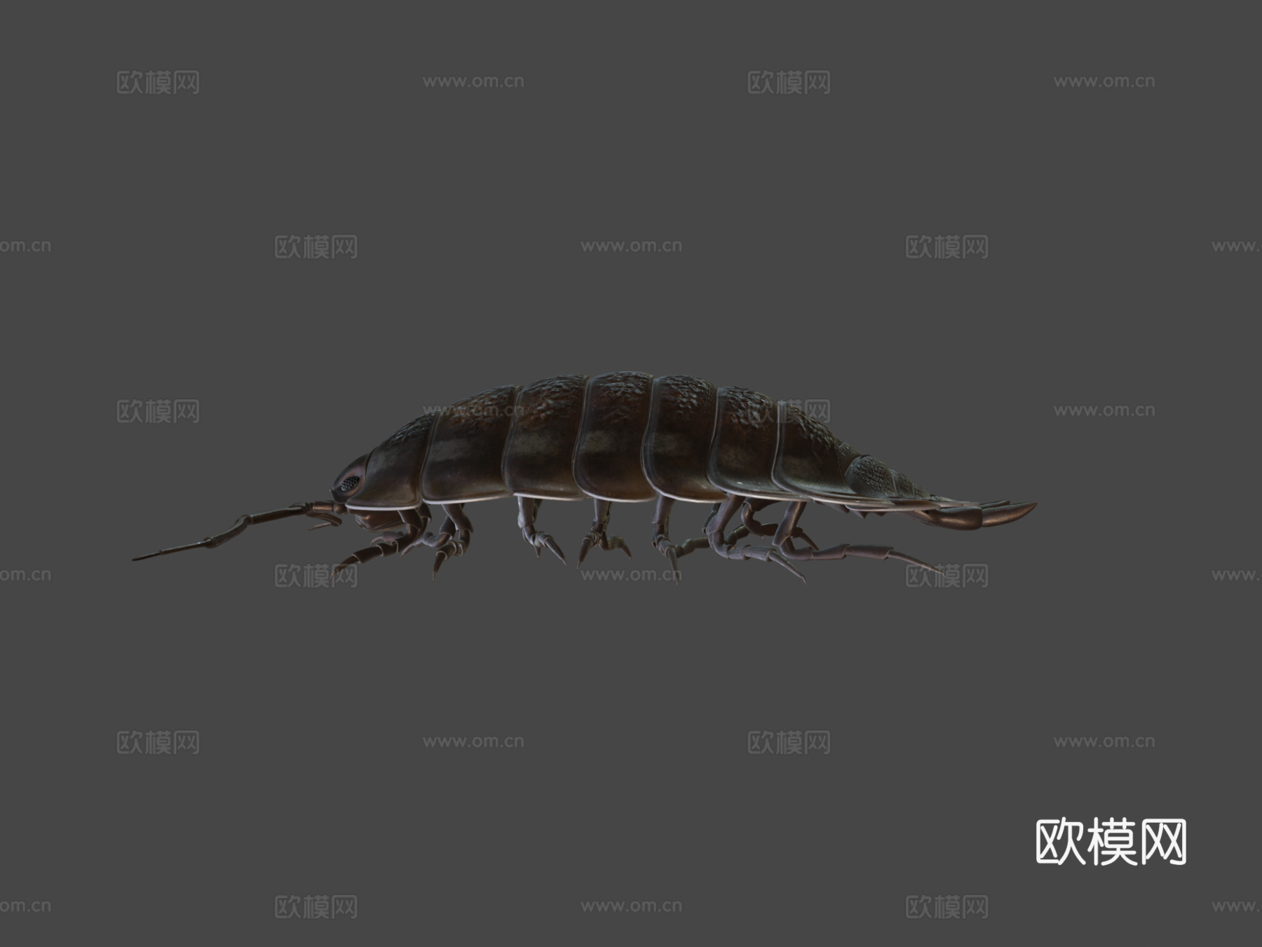 滚圆球3d模型下载（渲染图5）