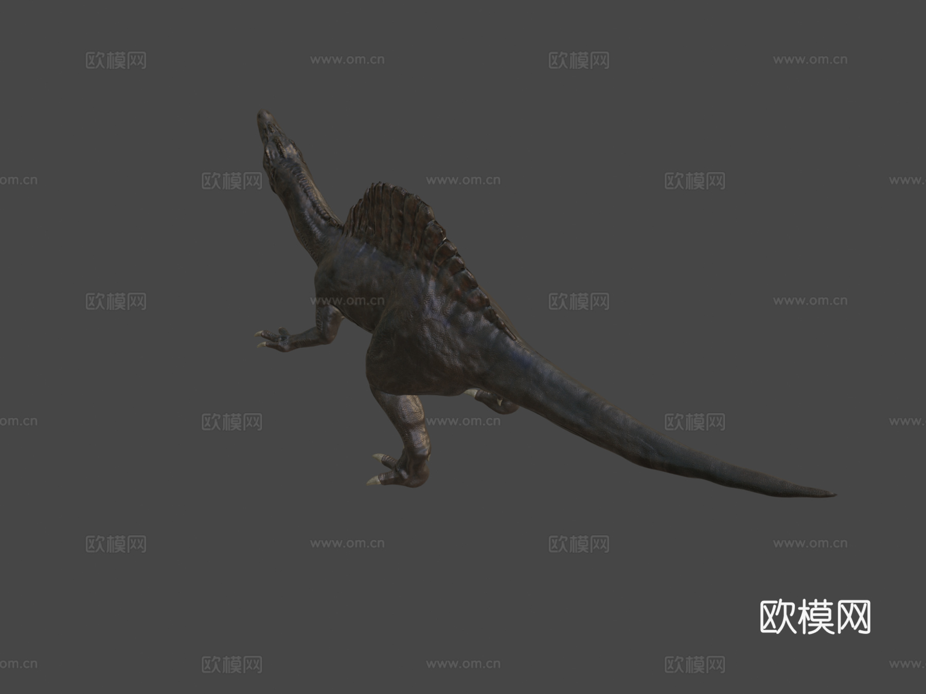 棘龙3d模型下载（渲染图7）