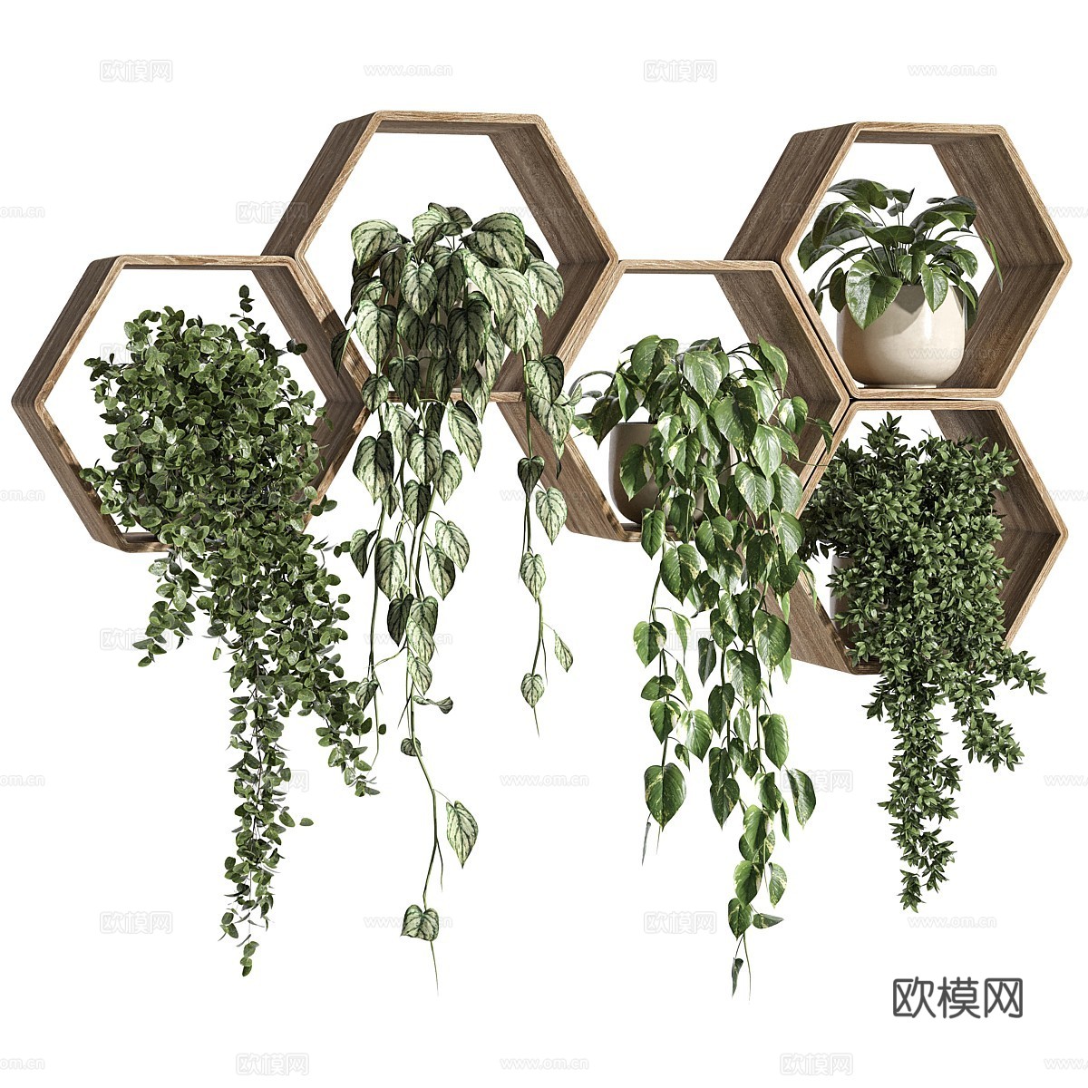 现代吊篮绿植3d模型下载（渲染图2）