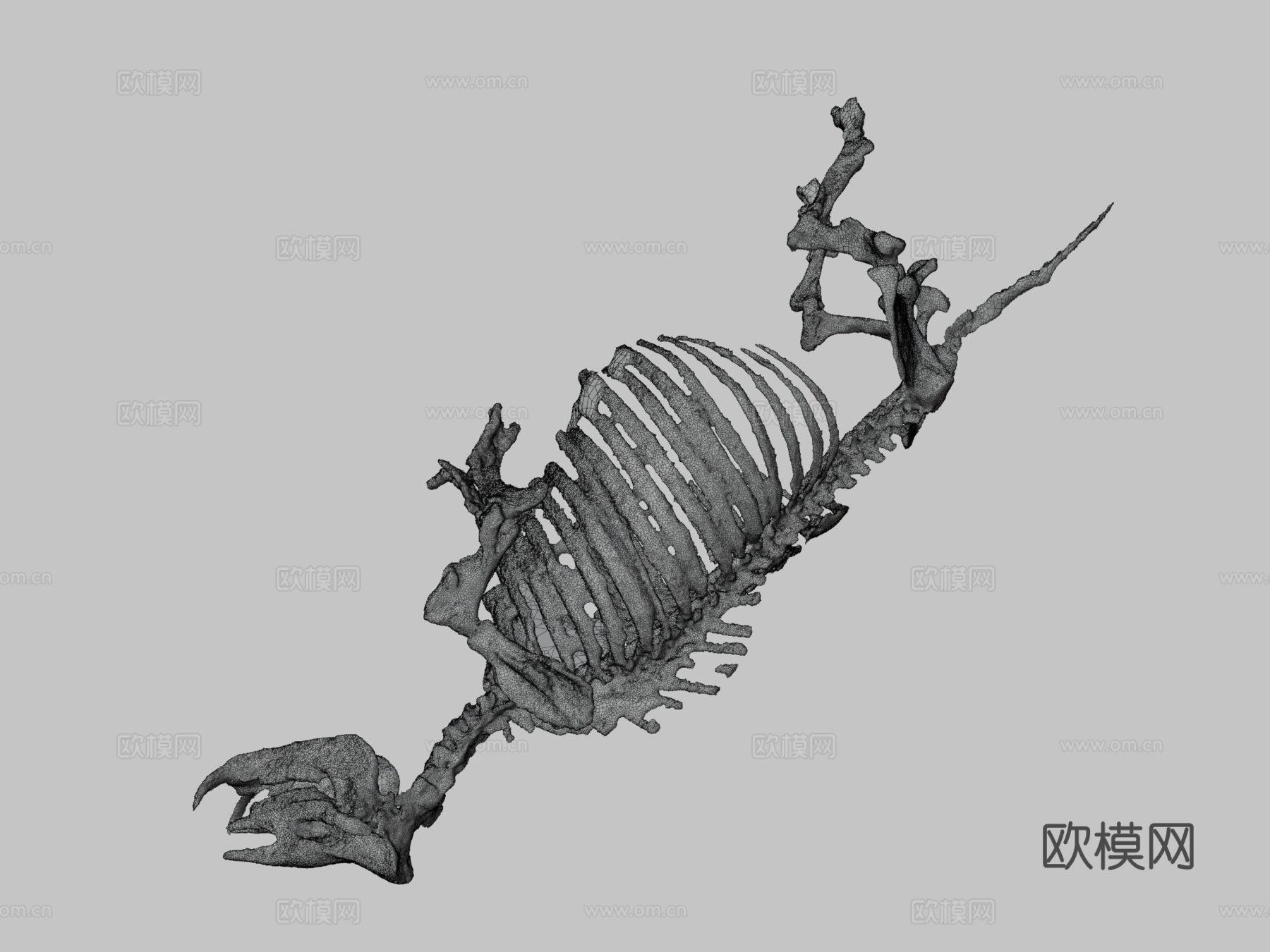 古代犀牛化石3d模型下载（渲染图3）