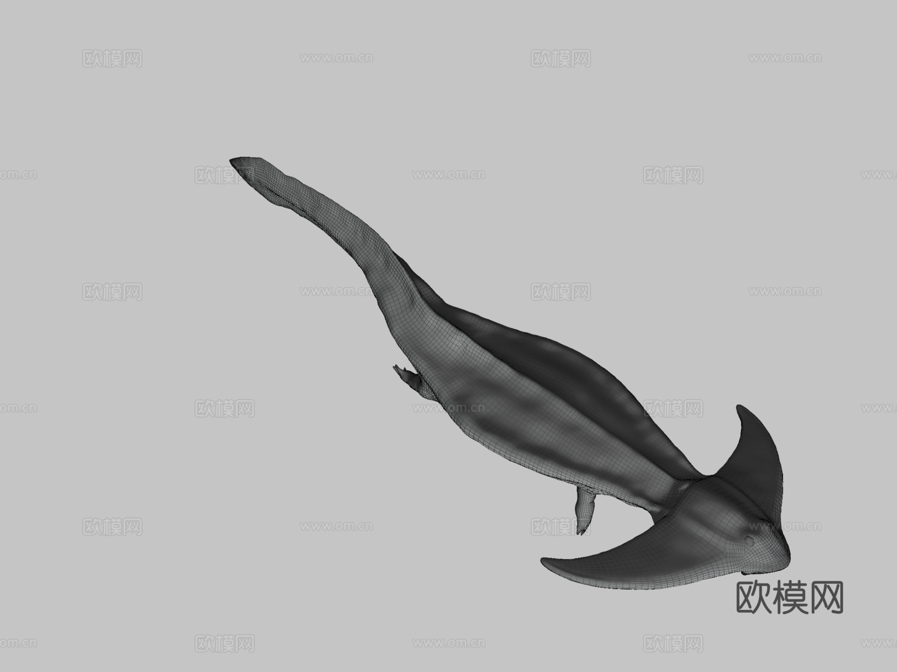 笠头螈3d模型下载（渲染图3）