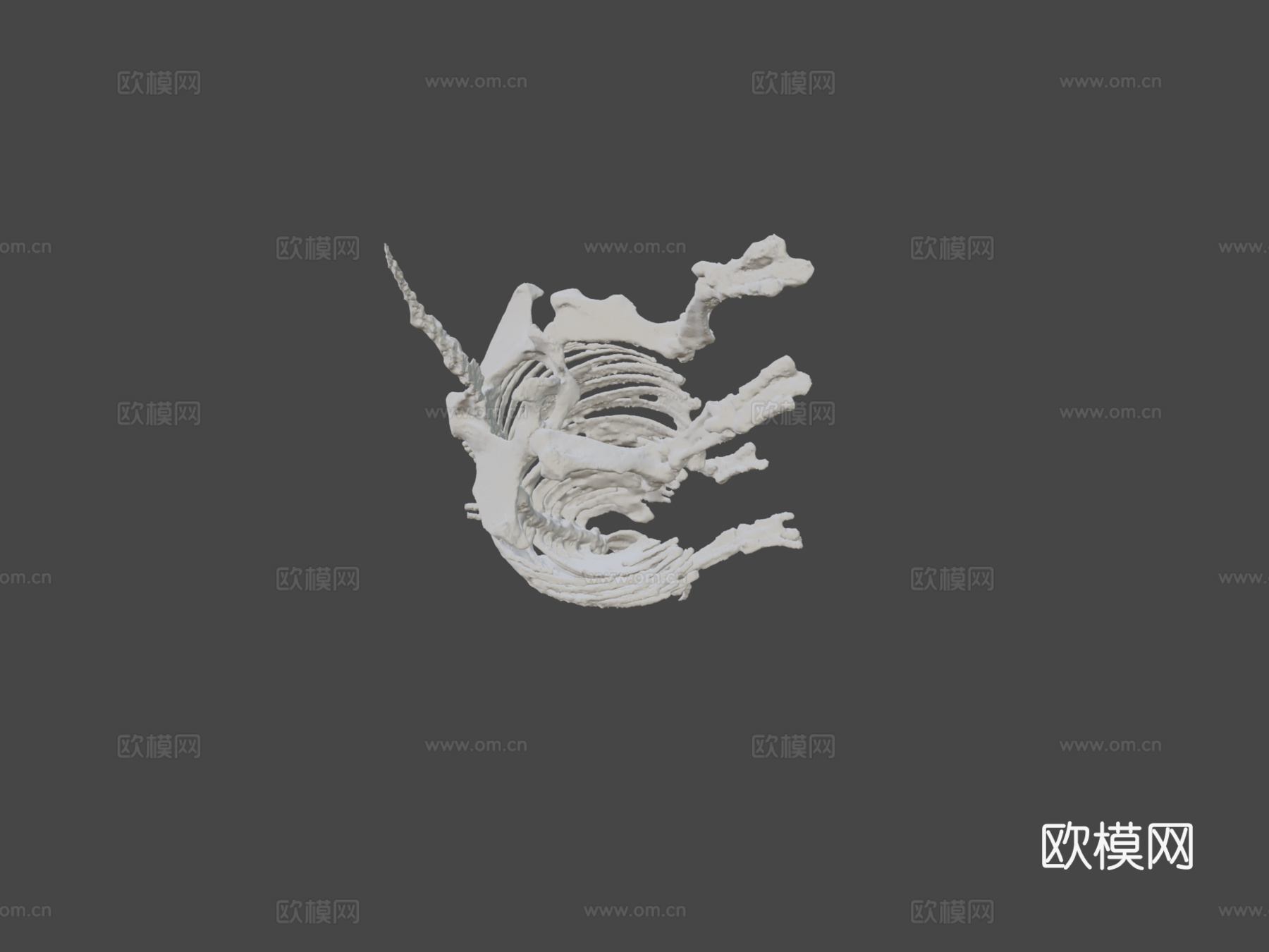 古代犀牛化石3d模型下载（渲染图5）