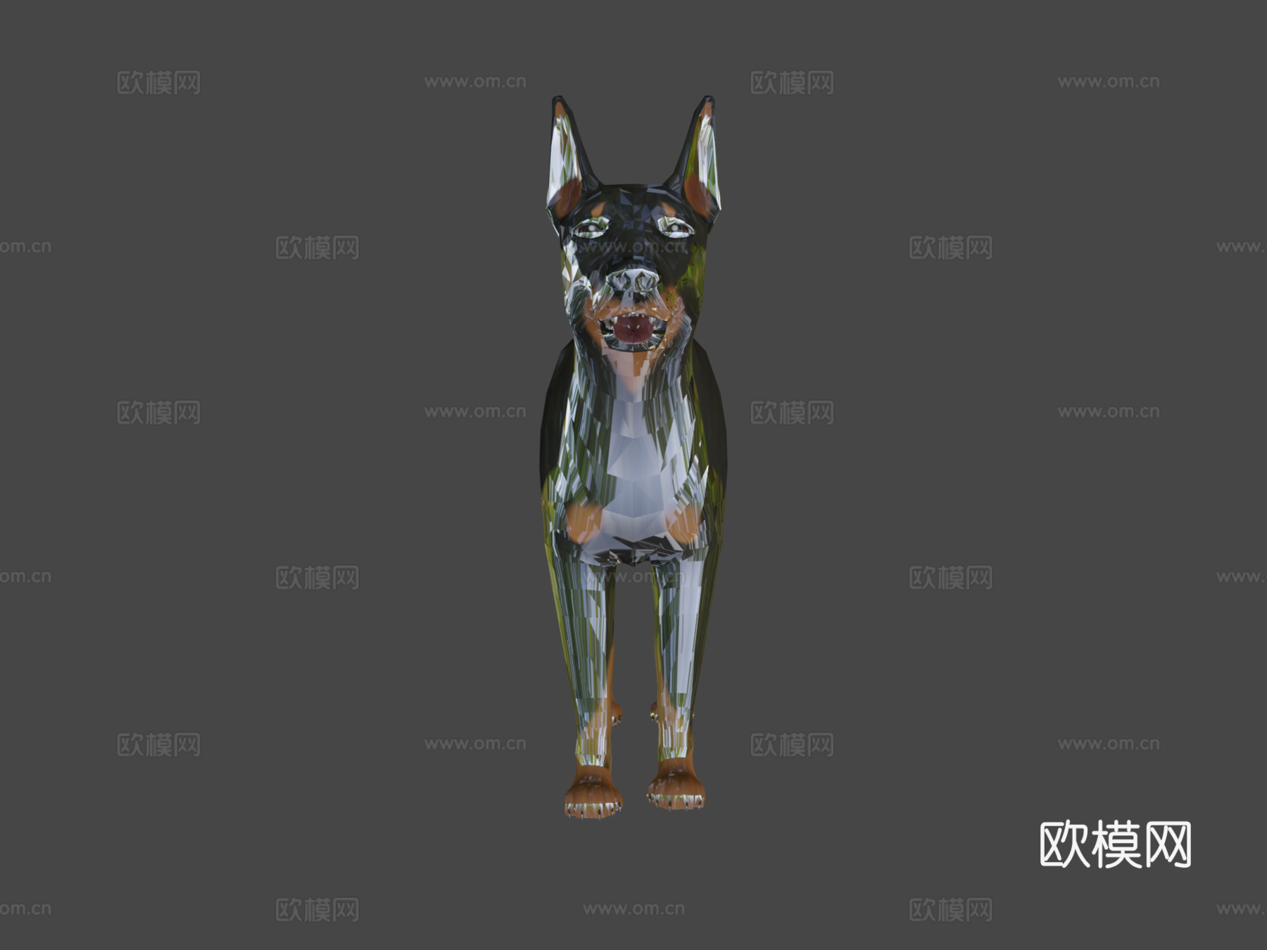 杜宾犬3d模型下载（渲染图7）