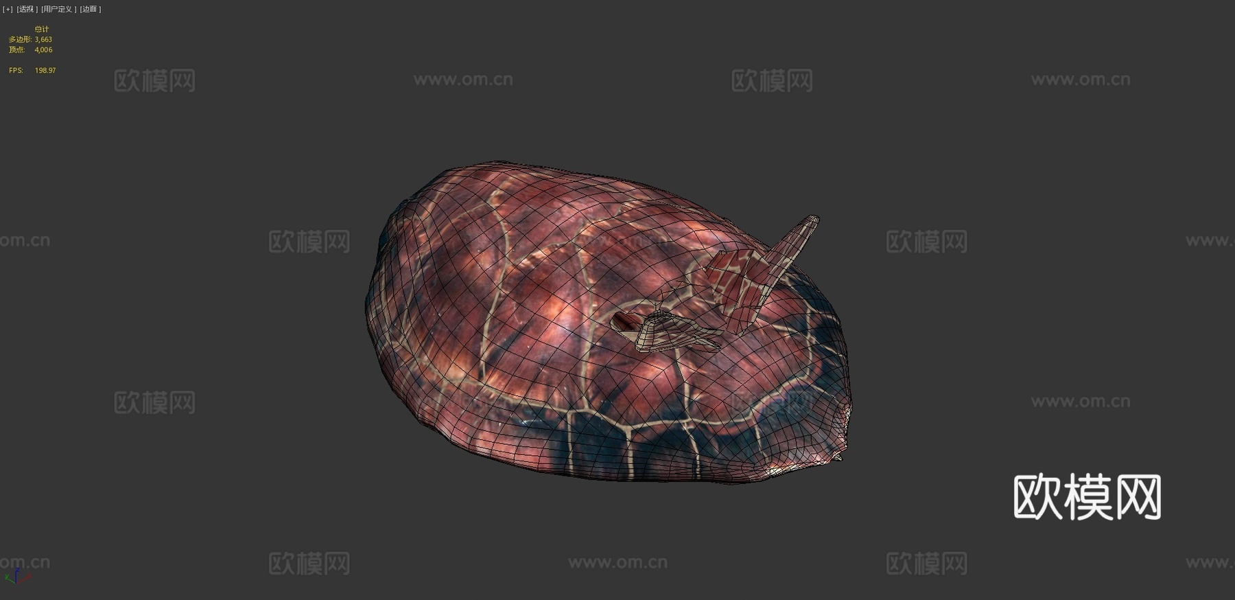 海龟3d模型下载（渲染图4）