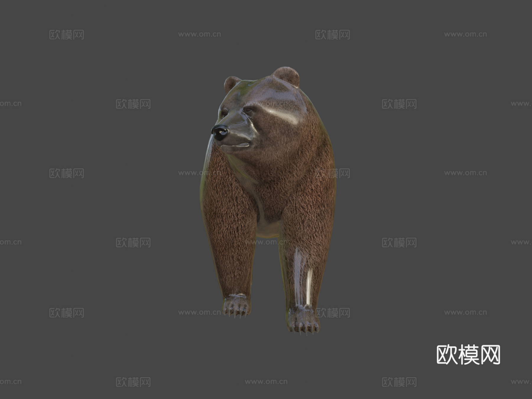 熊3d模型下载（渲染图5）