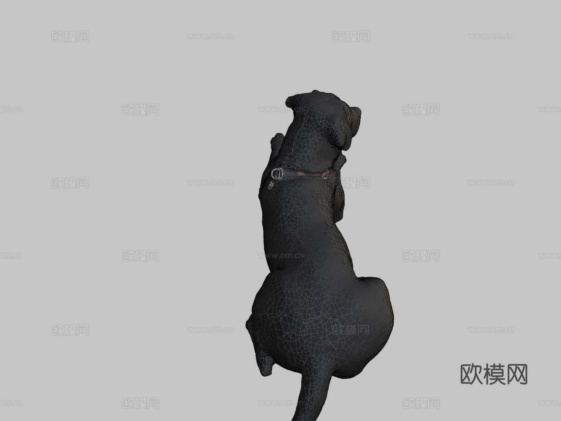 狗狗A-56-拉布拉多3d模型下载（渲染图2）