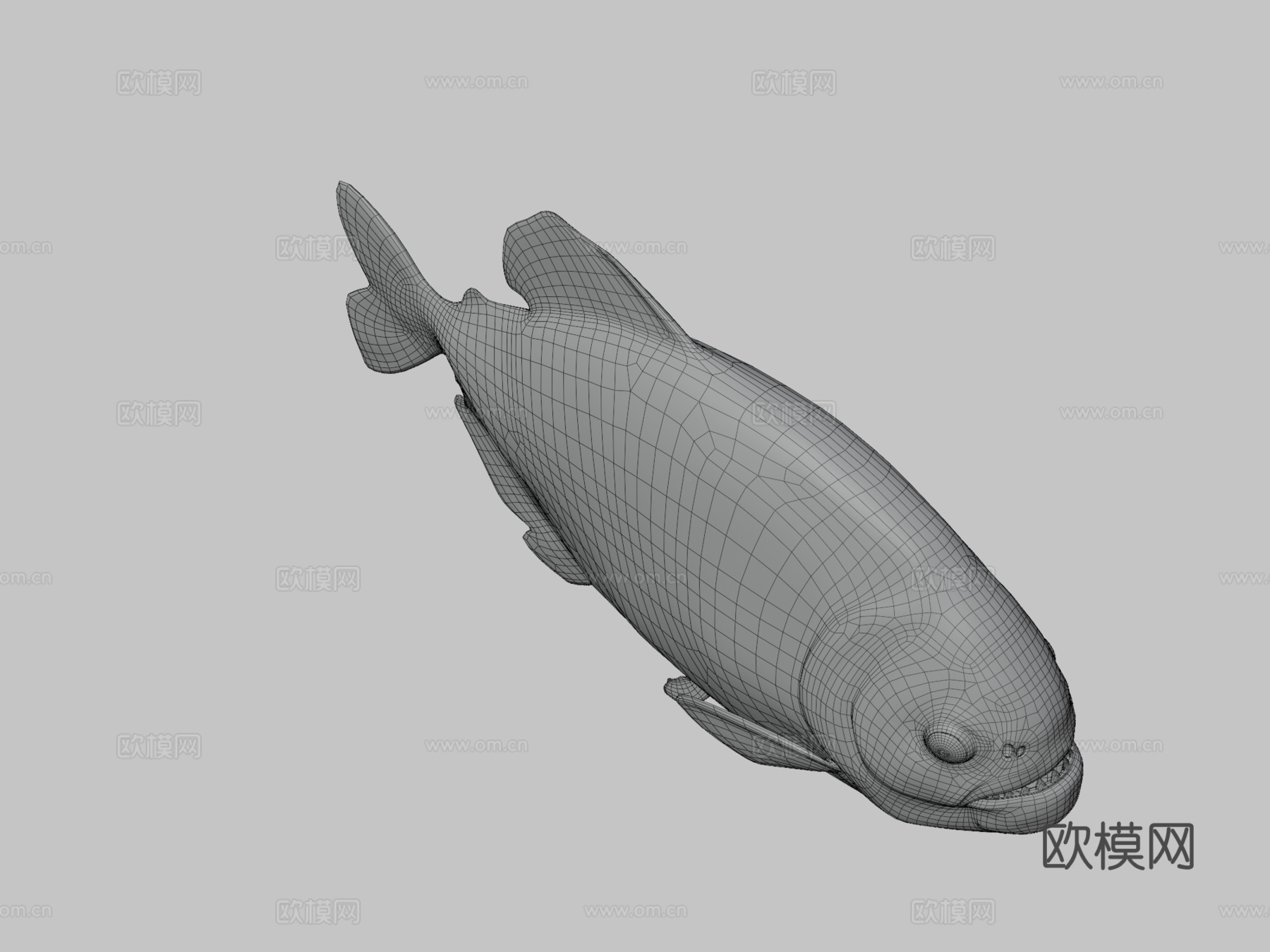 食人鱼3d模型下载（渲染图3）